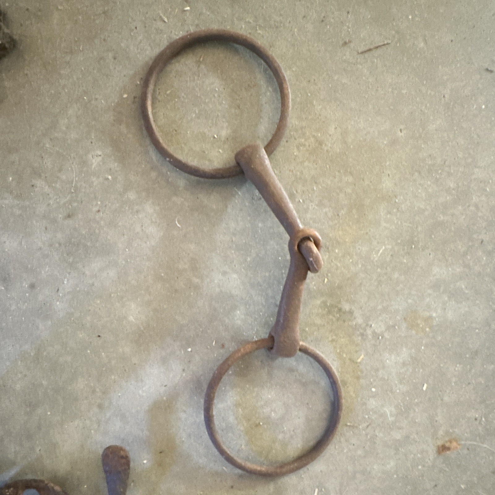 Metal Snaffle Horse Bit with Large Ring Cheeks, Large Rings