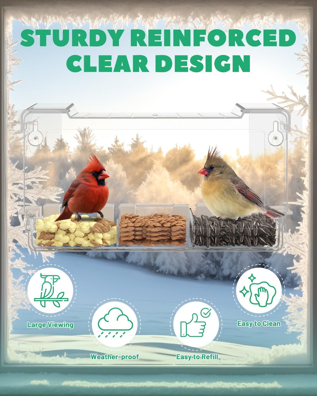 Clear Window Bird Feeder Outdoors - for Viewing with 5