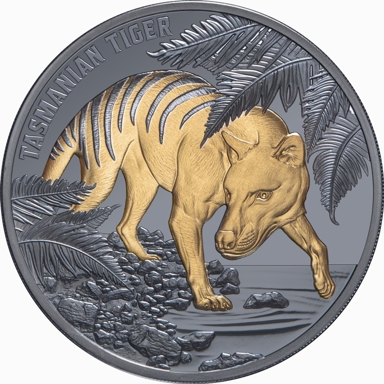 Niue 2026 TASMANIAN TIGER Thylacine $1 Oz Silver GILDED BLACK PROOF—MINTAGE 750