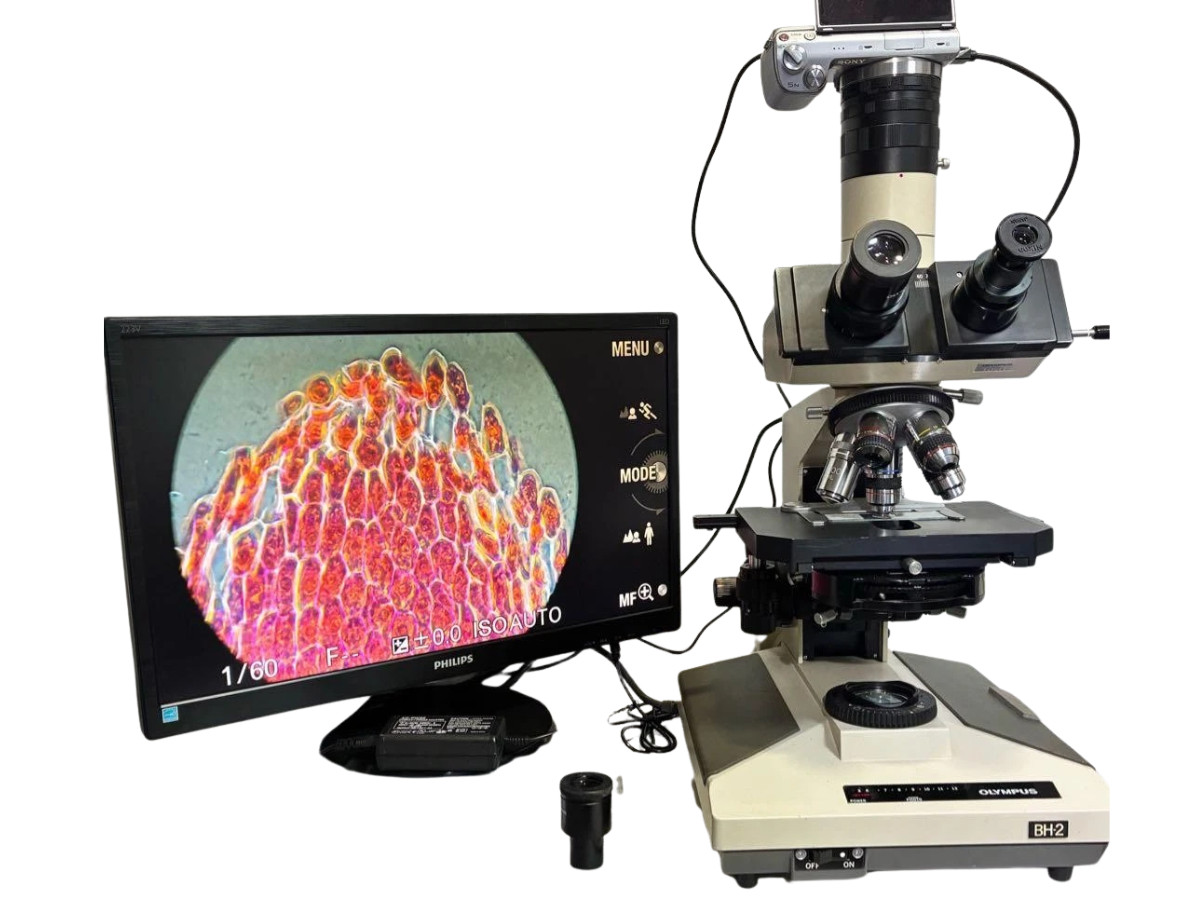 Olympus BH2 Phase Contrast Microscope 5 Objectives Sony NEX-5N Camera Monitor