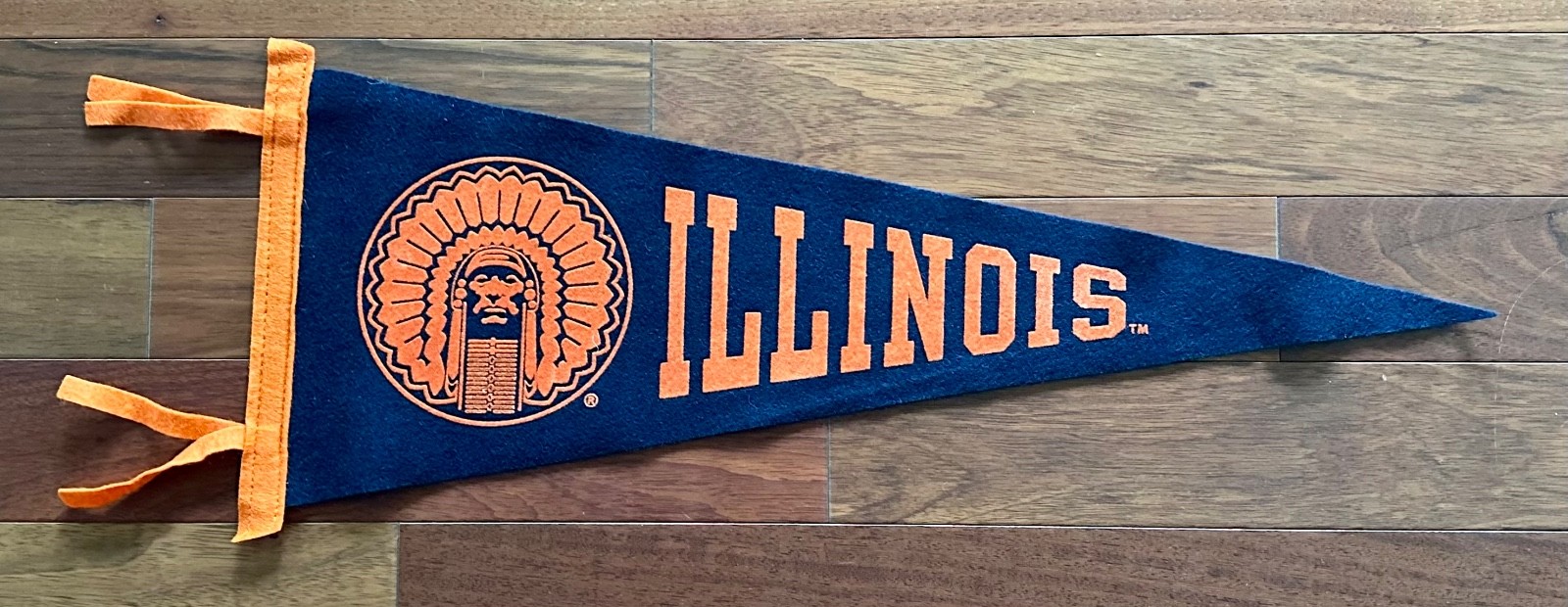 Illinois Fighting Illini NCAA  Wool Pennant