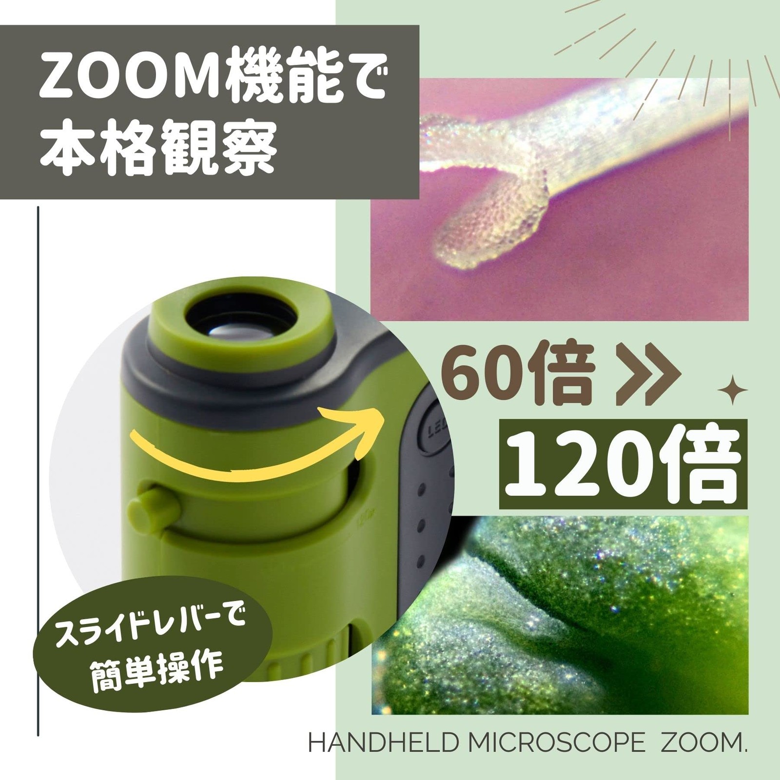 Raymay Fujii Handy Microscope ZOOM Orange RXT1143D