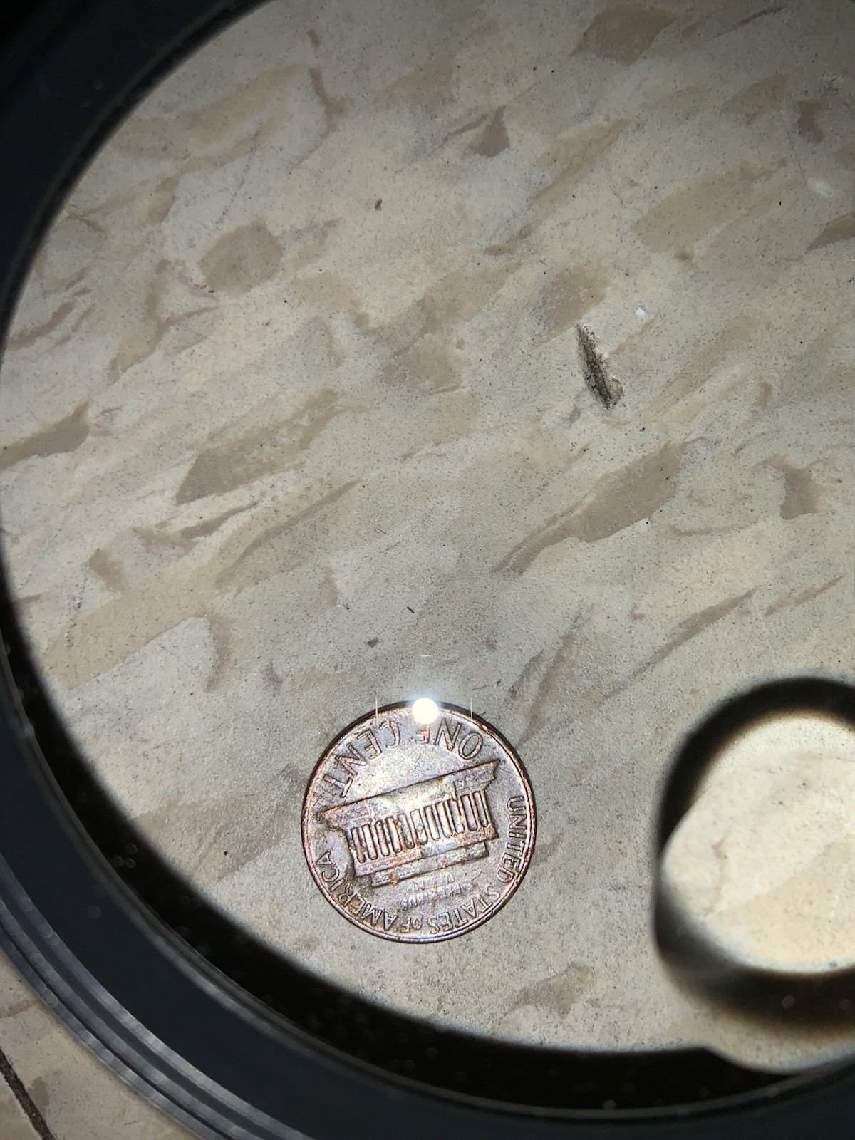 1968 Error