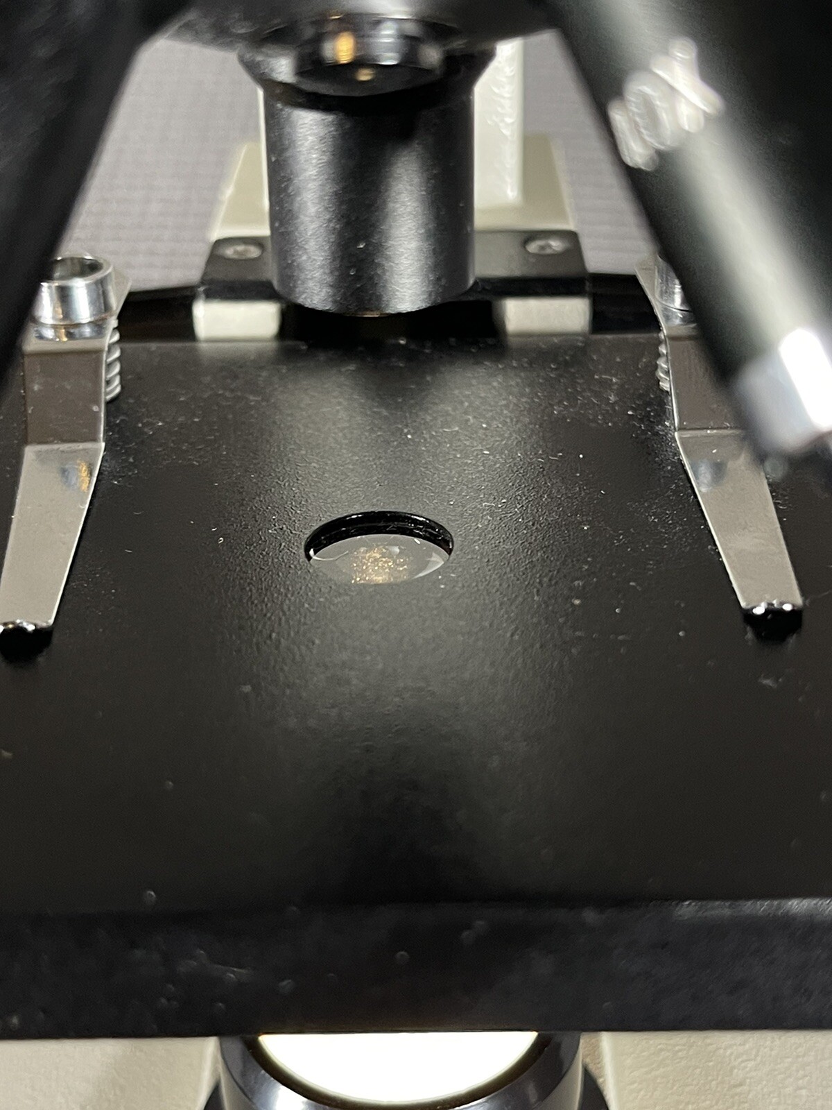 Wards 24-2130 Microscope with objectives 4x, 10x, 40x Walter WF10X