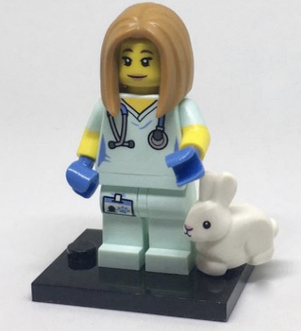 LEGO Collectible Minifigures Series #17 - Veterinarian (col17-5) Minifigure