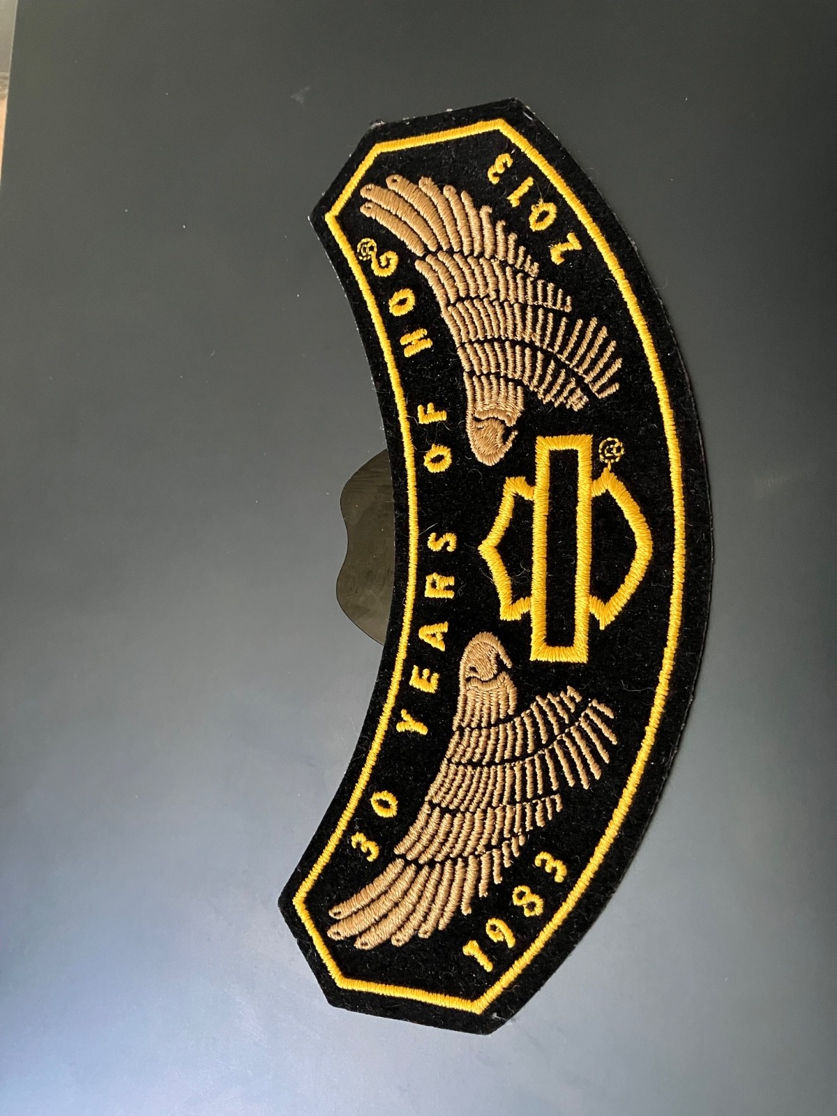 30 Years Of HOG Harley Davidson Owners Group Sew On Patch 1983-2013 Wings New