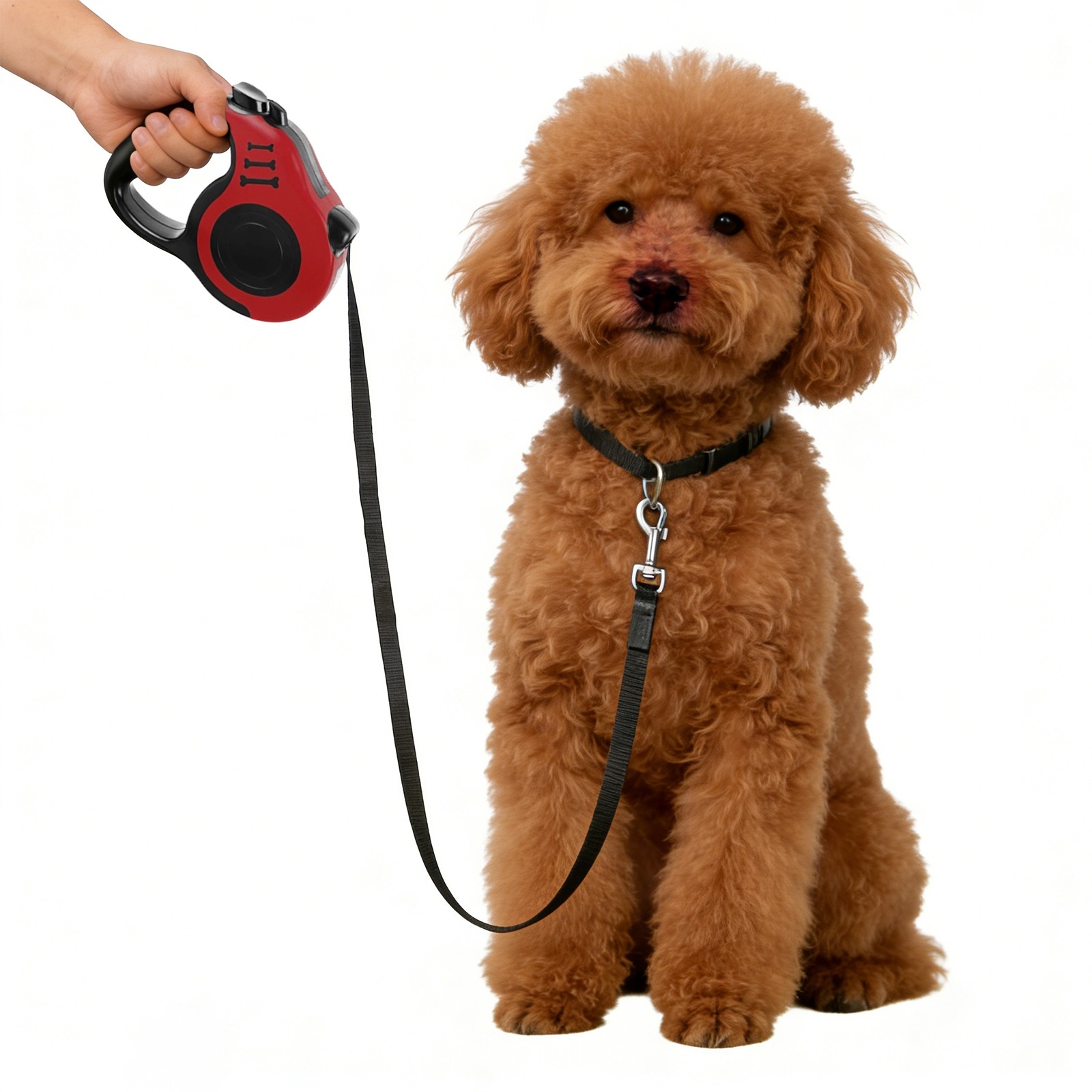 Retractable Dog Leash Auto Lock Anti Pull for Small Medium Dogs Red
