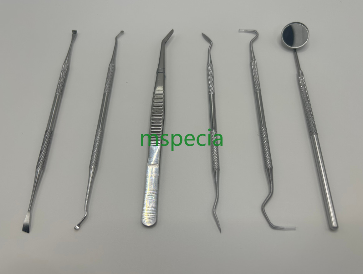 Dental Pick Set 6 PCS - Stainless Steel Dental Tools Kit Teeth Cleaning Tool