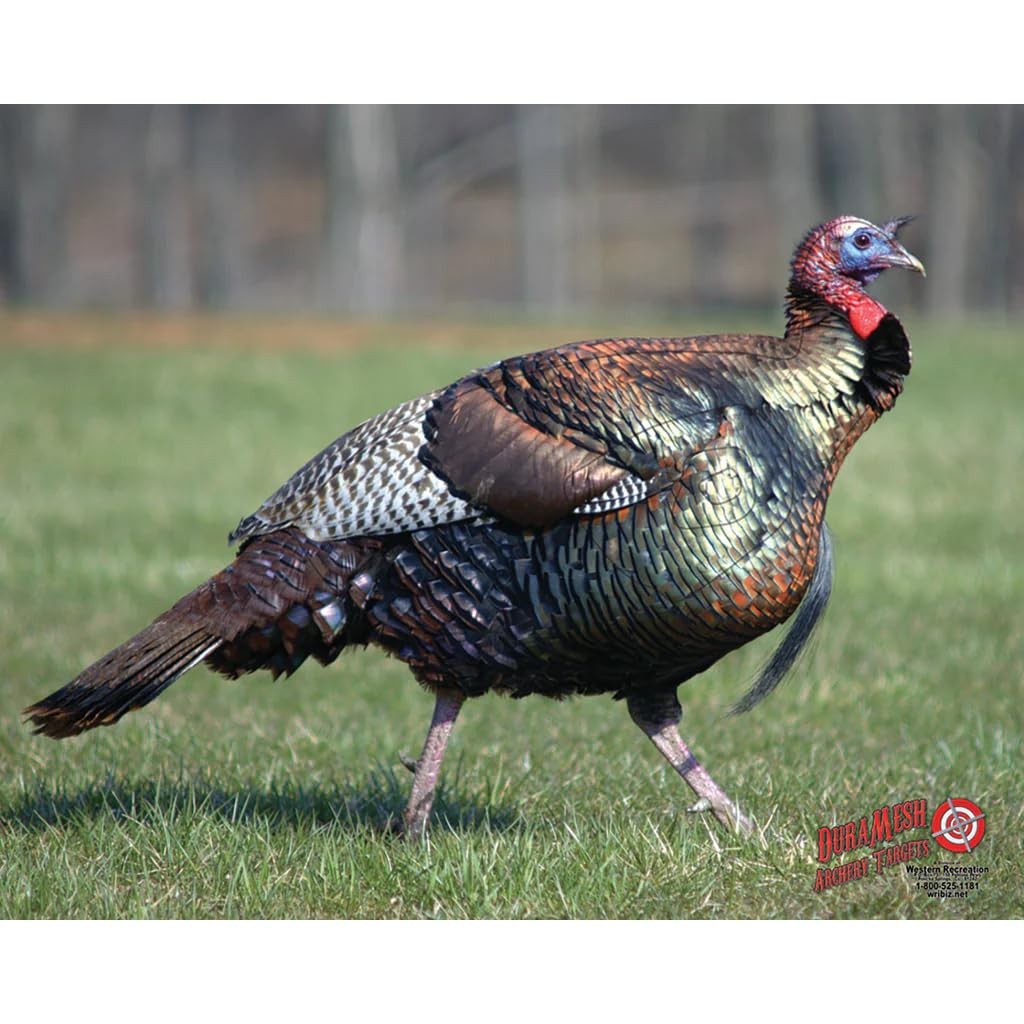DuraMesh Archery Target Turkey 25 in. x 32 25 x 32 Inch, Black