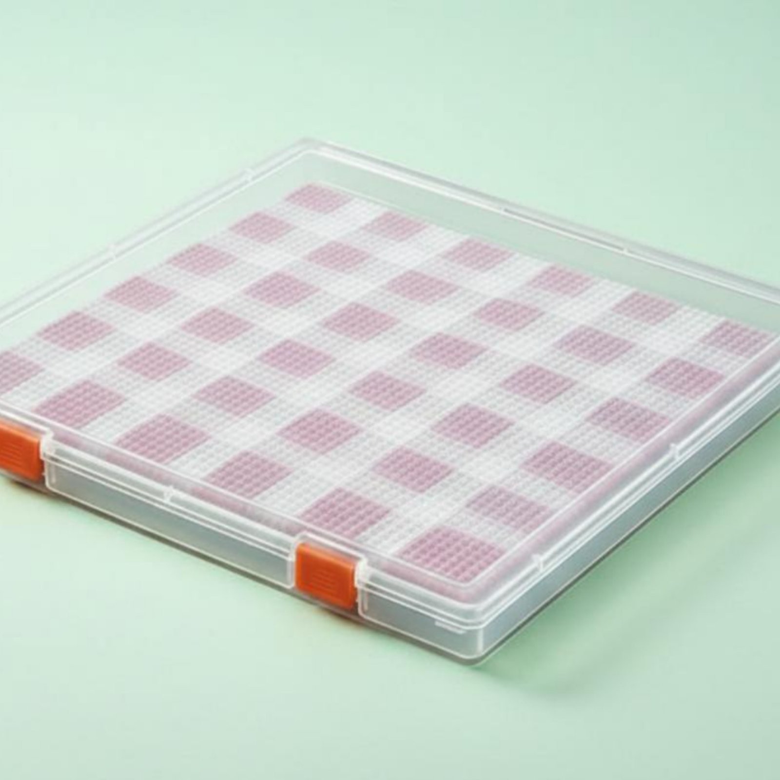 Bead Board Box Spill-Resistant Hinged Lid Container Dustproof