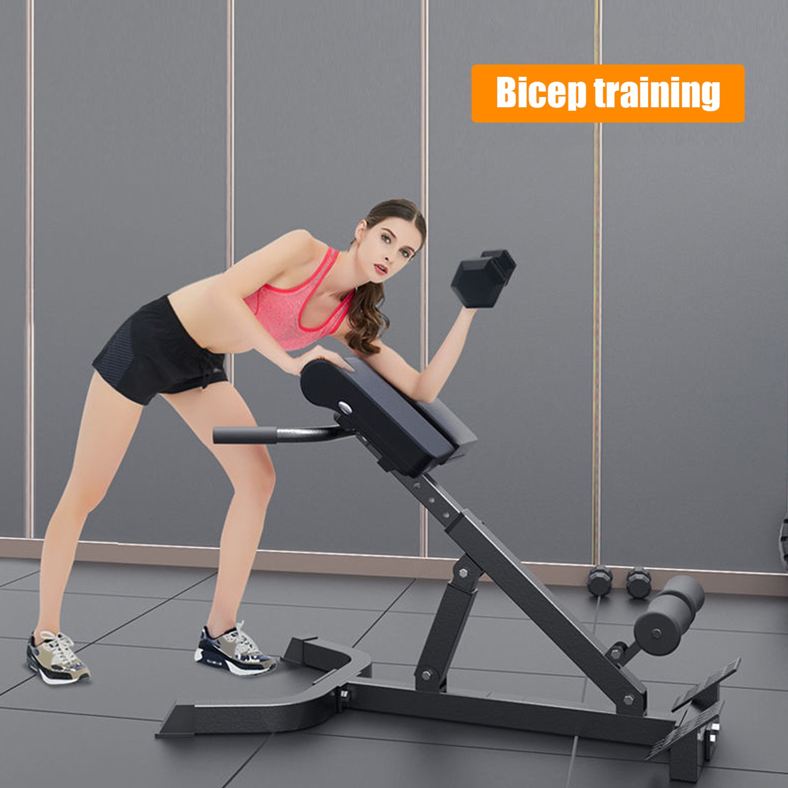 Roman Chair, Back Hyperextension Roman Chair Abdominal Exercise, Extension Bench