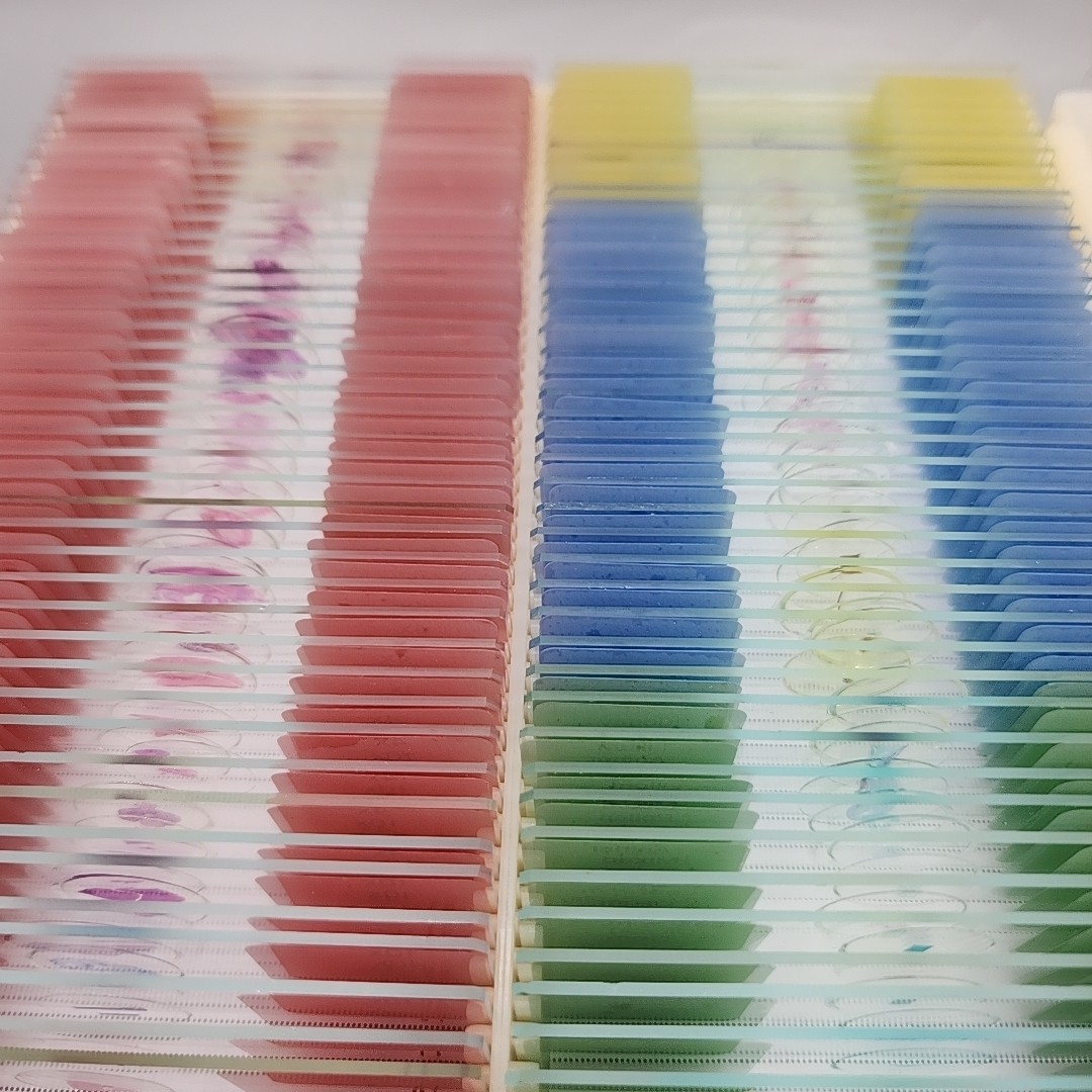 120 Lab-Grade Microscope Slides Set - Prepared Specimens for Kids & Adults, STEM