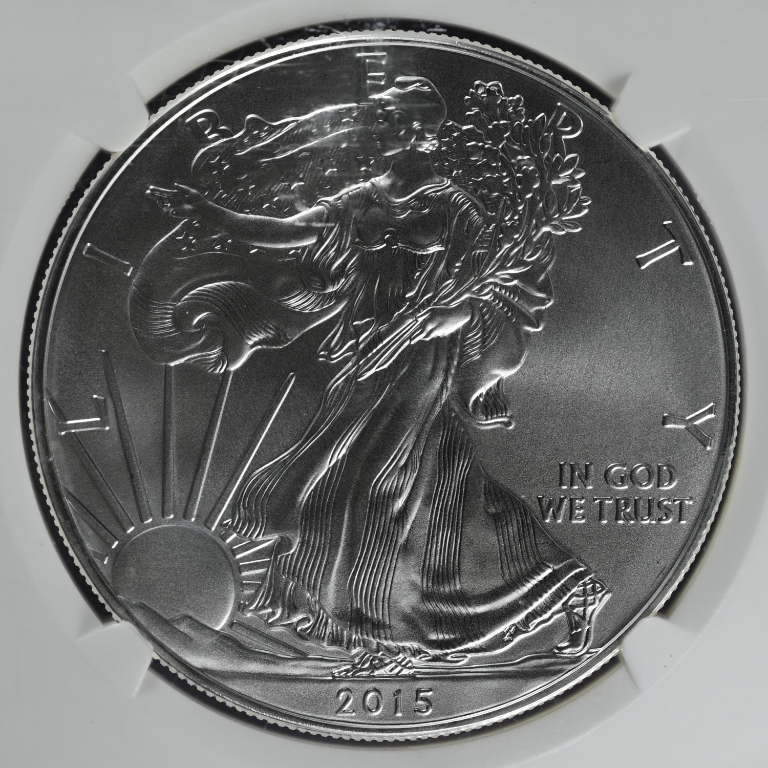 2015 Bullion Silver Eagles NGC MS-69