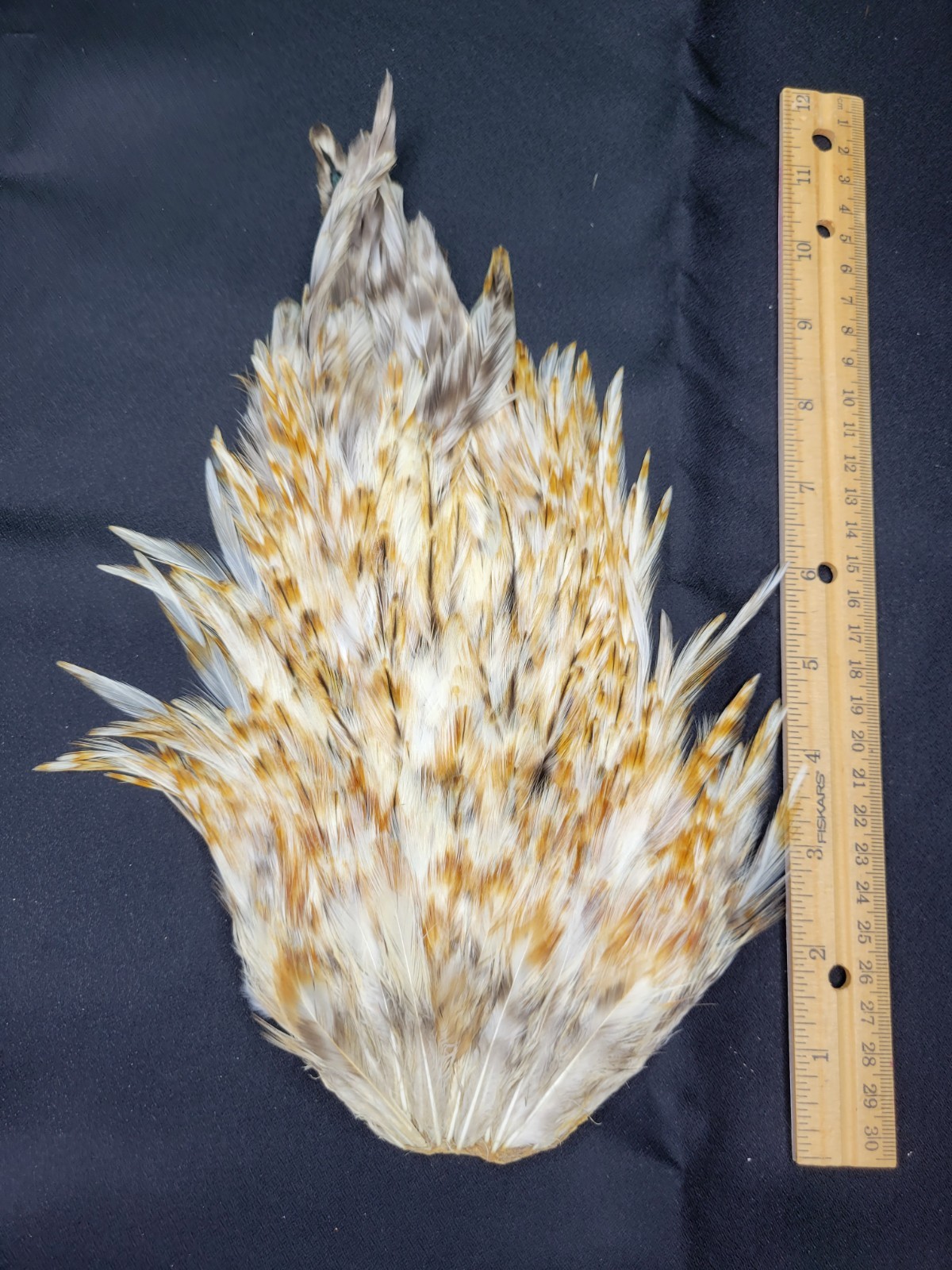 Lot  55,  Grade A,   Natural India Rooster Saddle Feathers for Fly Tying Jewelry