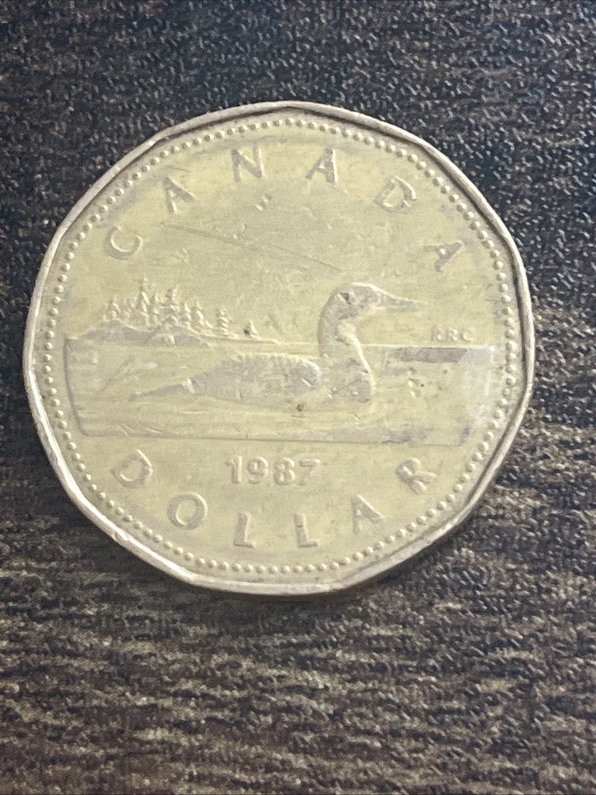 1987 Canadian Dollar Loonie "Far" $1 Canada Elizabeth II Actual Coin TB9605*
