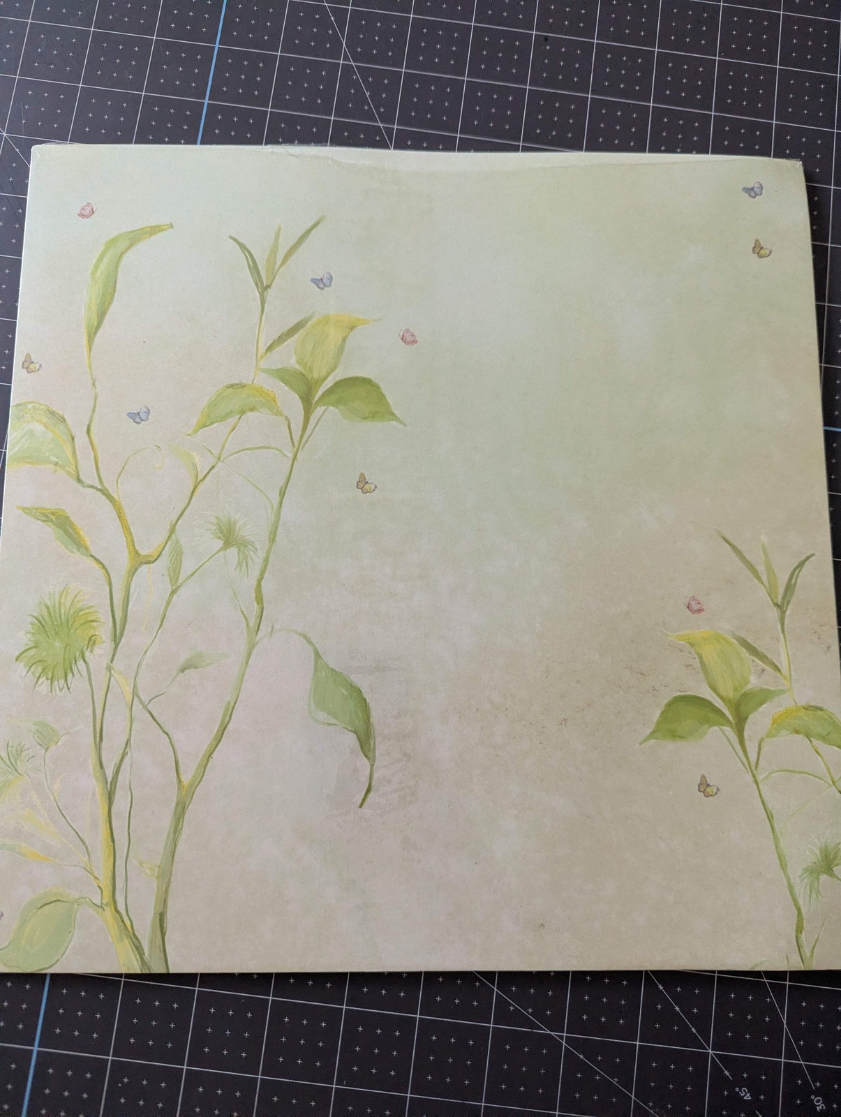 Miss Elizabeth's 4pc Paper Packs Bundle
