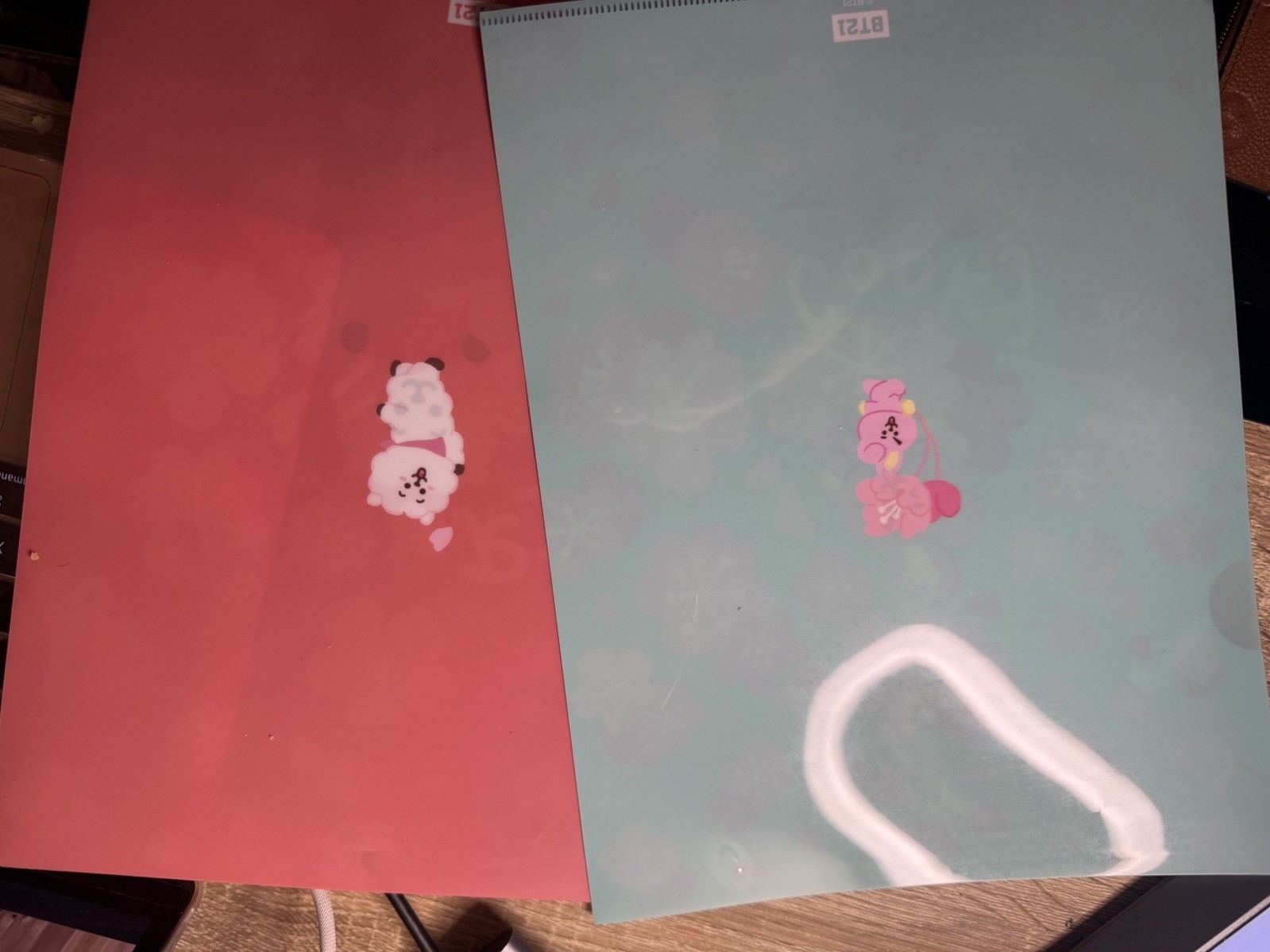 Folder Divider BT21 File Folder Cherry Blossom Edition Cooky and RJ