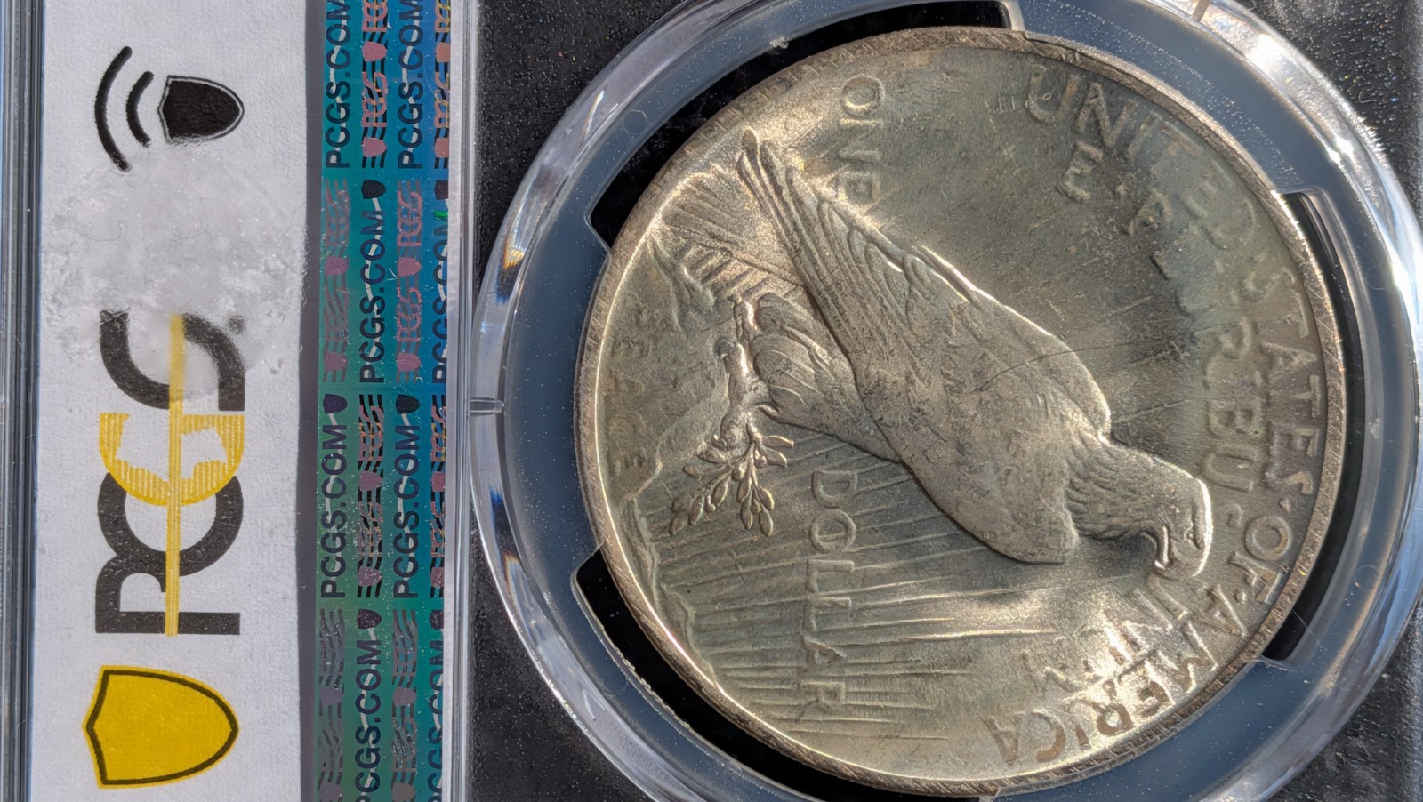 1923 PCGS MS64+ Peace Silver Dollar