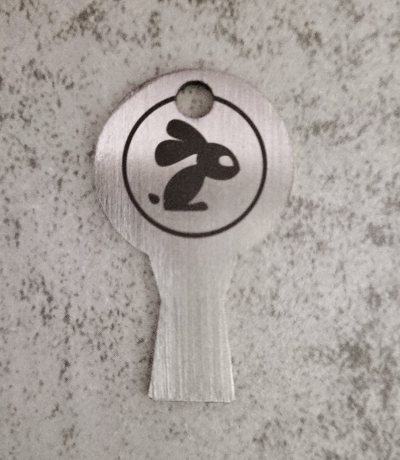 Rabbit Key Stainless Steel Universal Camera Key for photographers, filmakers