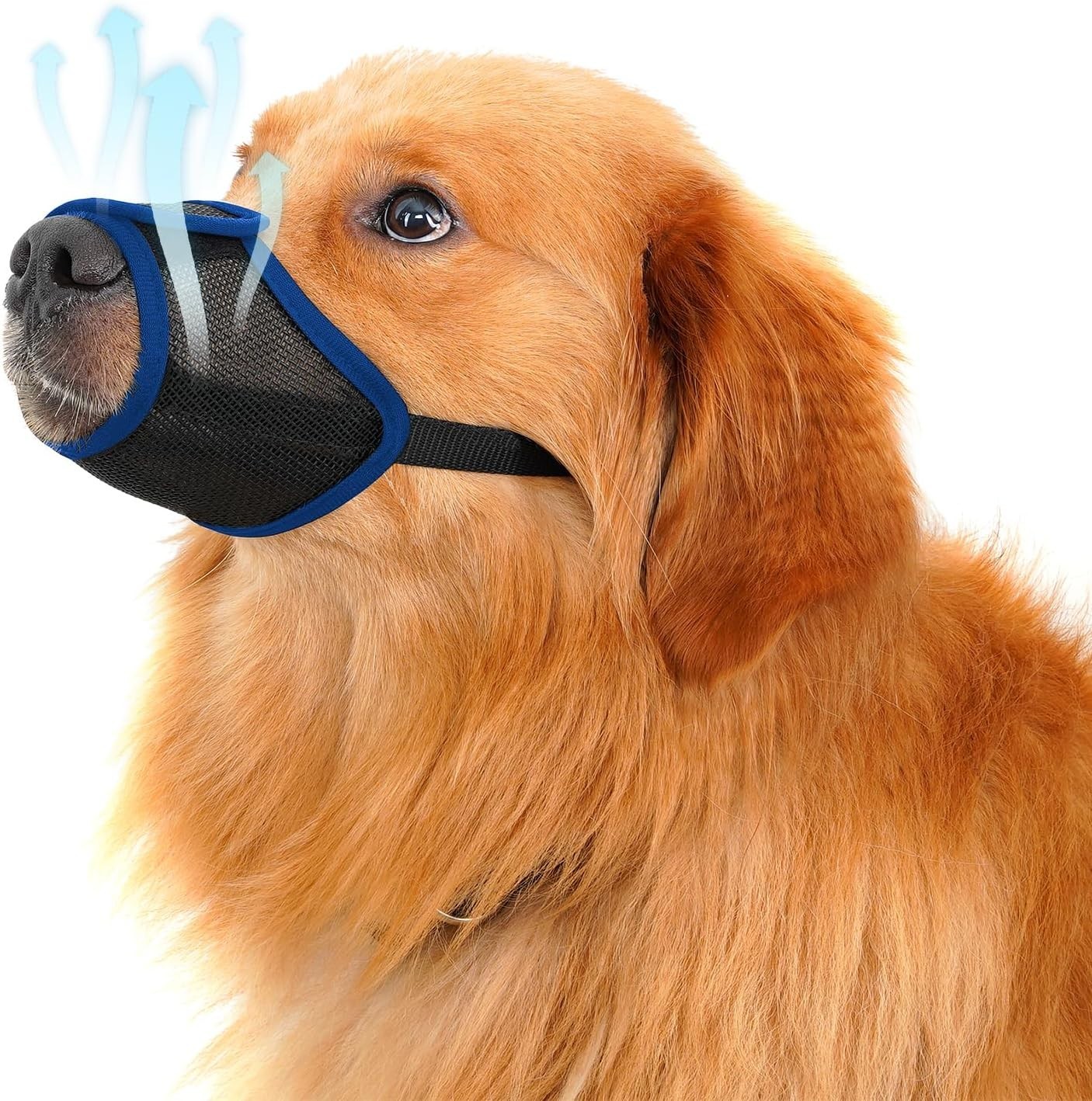 Dog Muzzle Mouth Cover Anti Bite Barking Chewing Mesh Mask (Blue, XL)