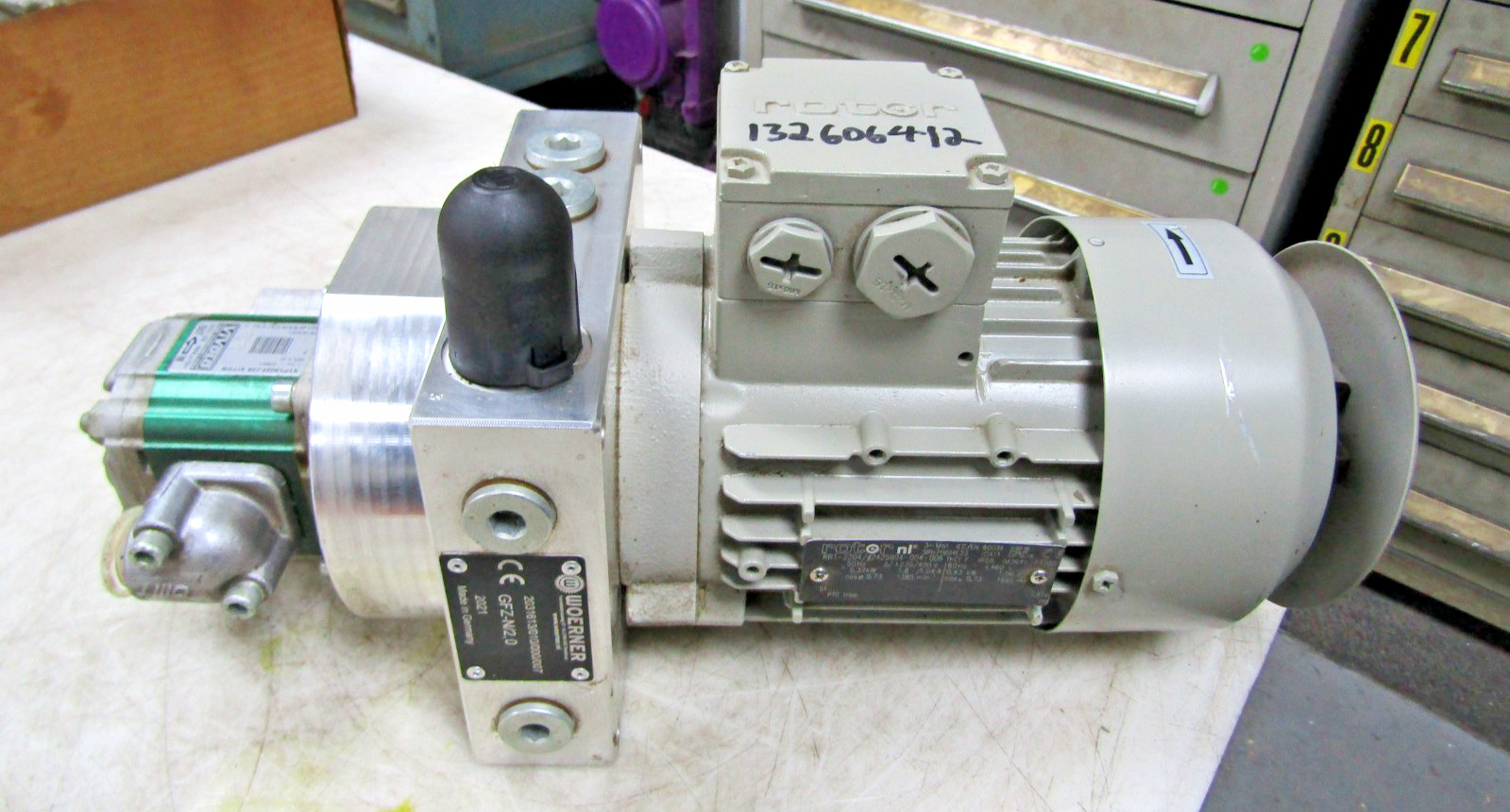 💥NEW WOERNER GFZ-N/2.0 SELF-PRIMING GEAR PUMP 230/400V 0.37 KW W/ 5RN71M04E23