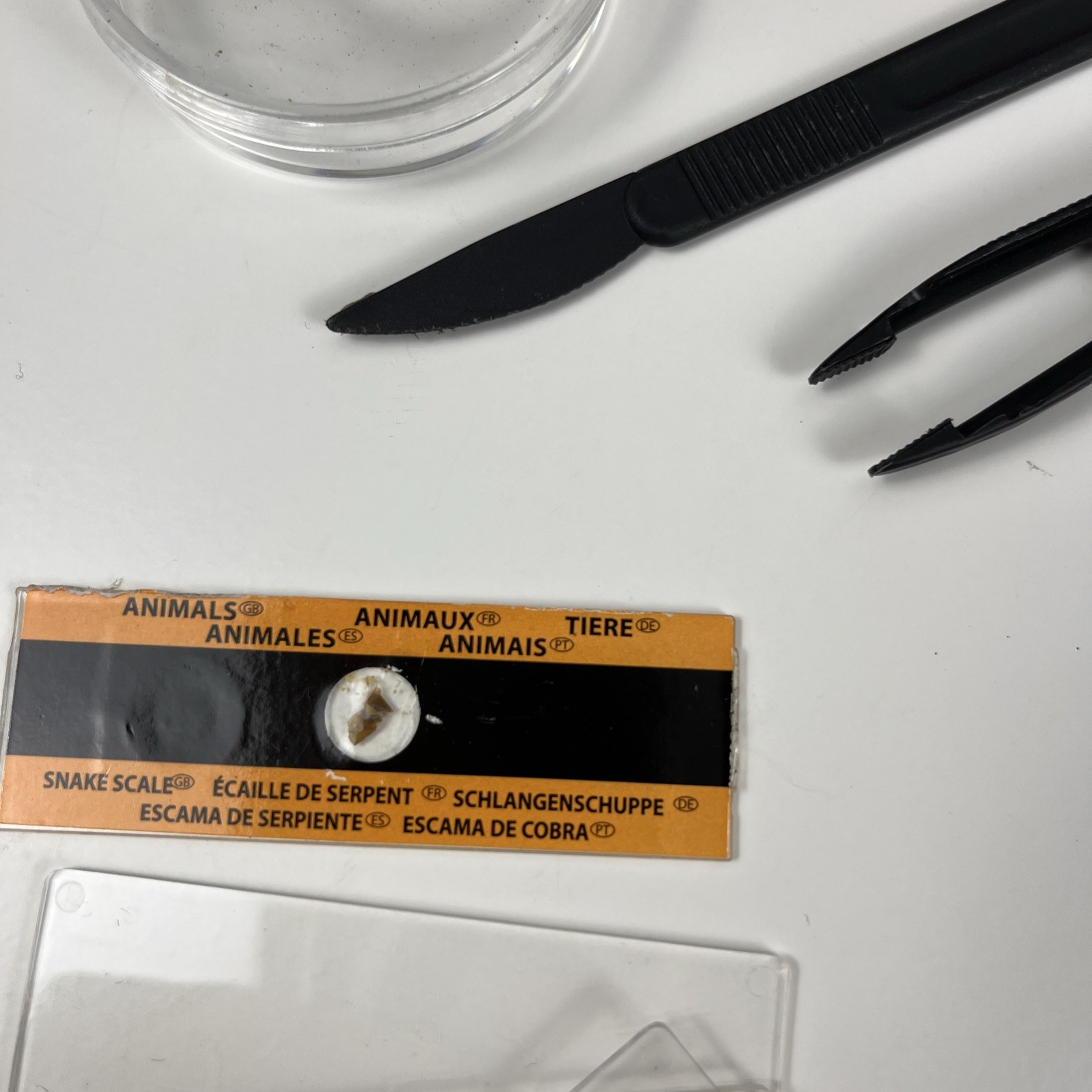 Edu Science 600x View Microscope With Case Edu Science Microscope For Kids