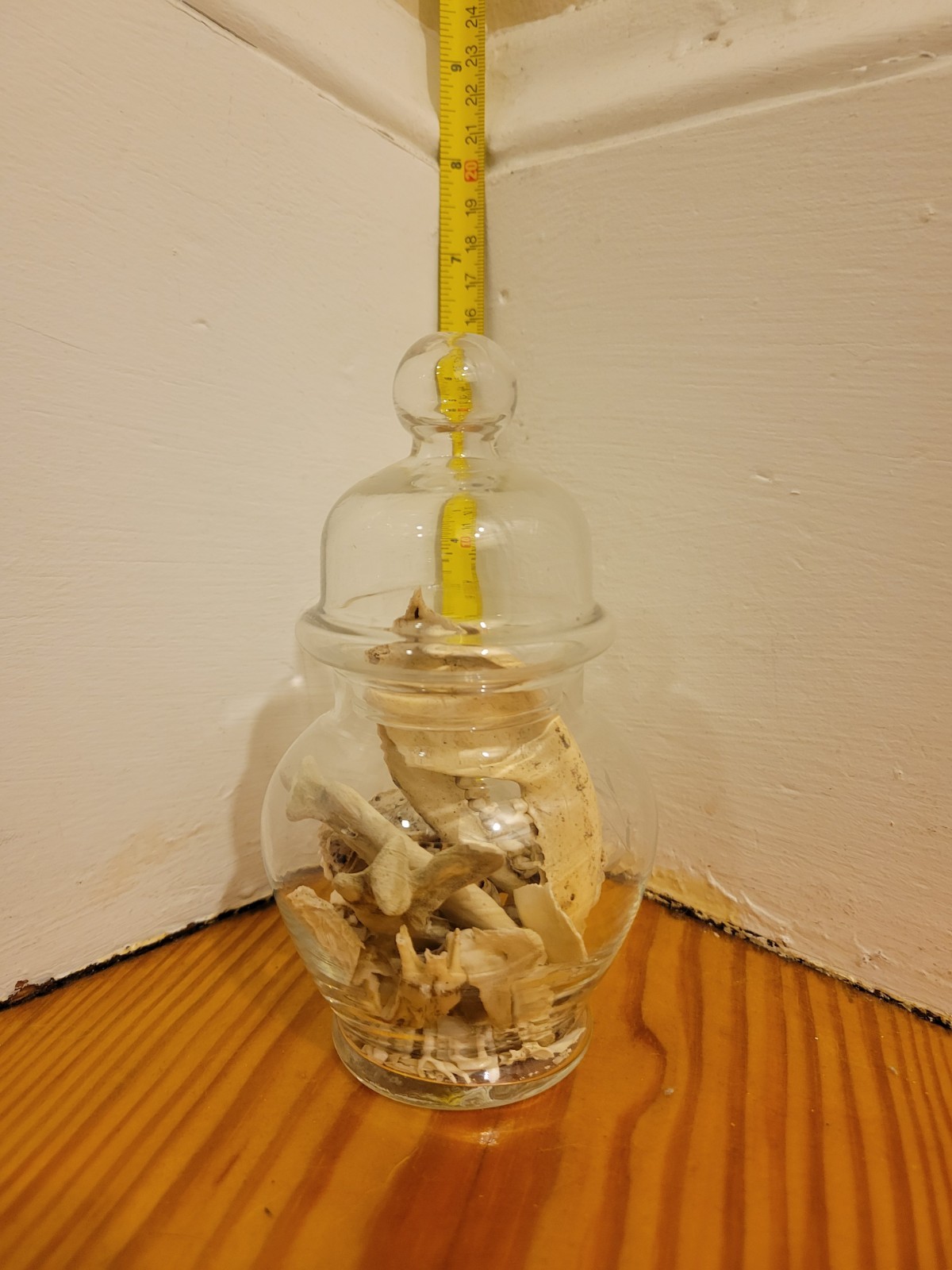 Jar Of Miscellaneous Bones And Teeth