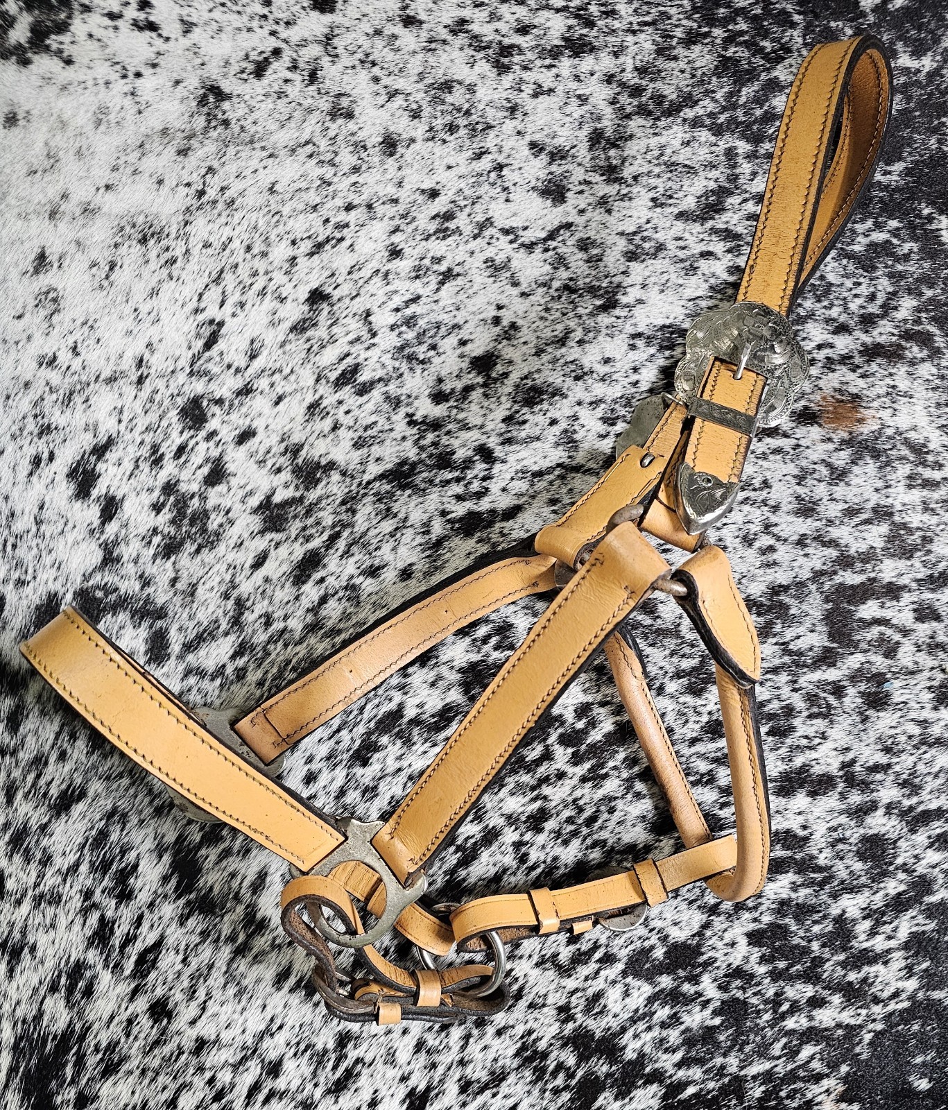 Vintage Horse Show Halter With Matching Lead
