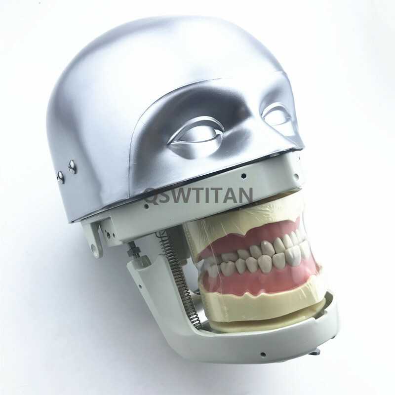 Dental Simulator Manikin Phantom Head practical exercises Head model
