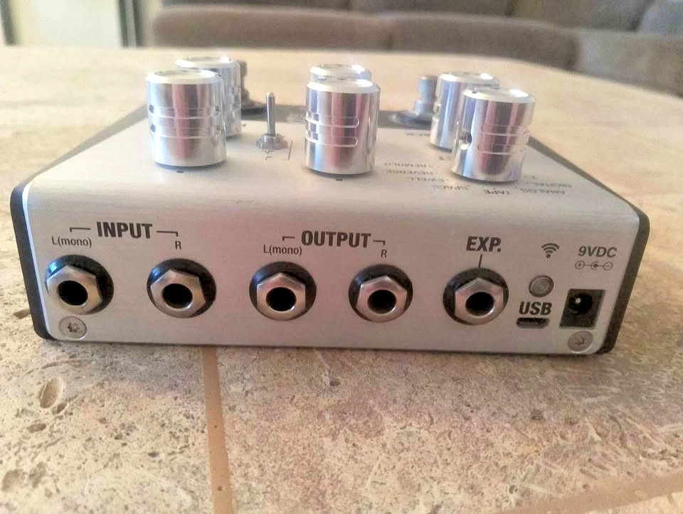 Positive Grid BIAS Delay Twin 2 Button Customizable Pedal