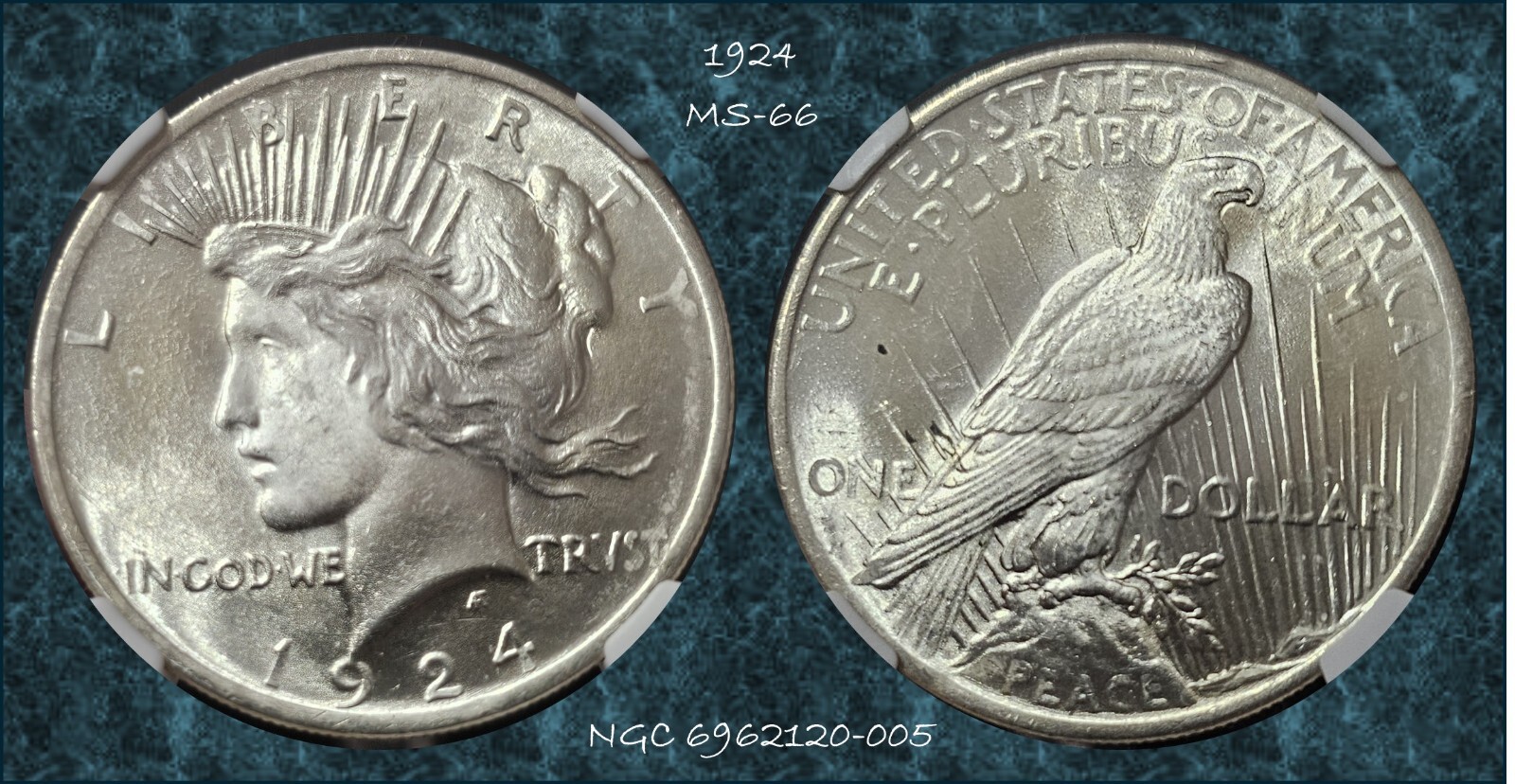 1924 Peace Dollar MS-66 NGC VIDEO