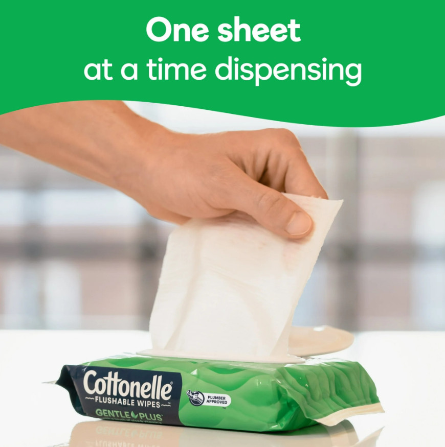 Gentle Plus Flushable Wet Wipes, 4 Flip-Top Packs