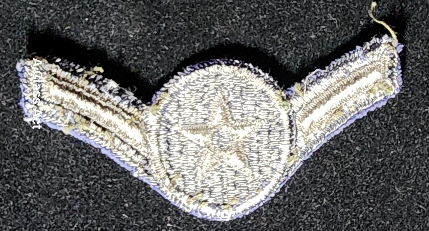 USAF US AIR FORCE AIRMAN 1ST CLASS E-3 PATCH. Our T6459