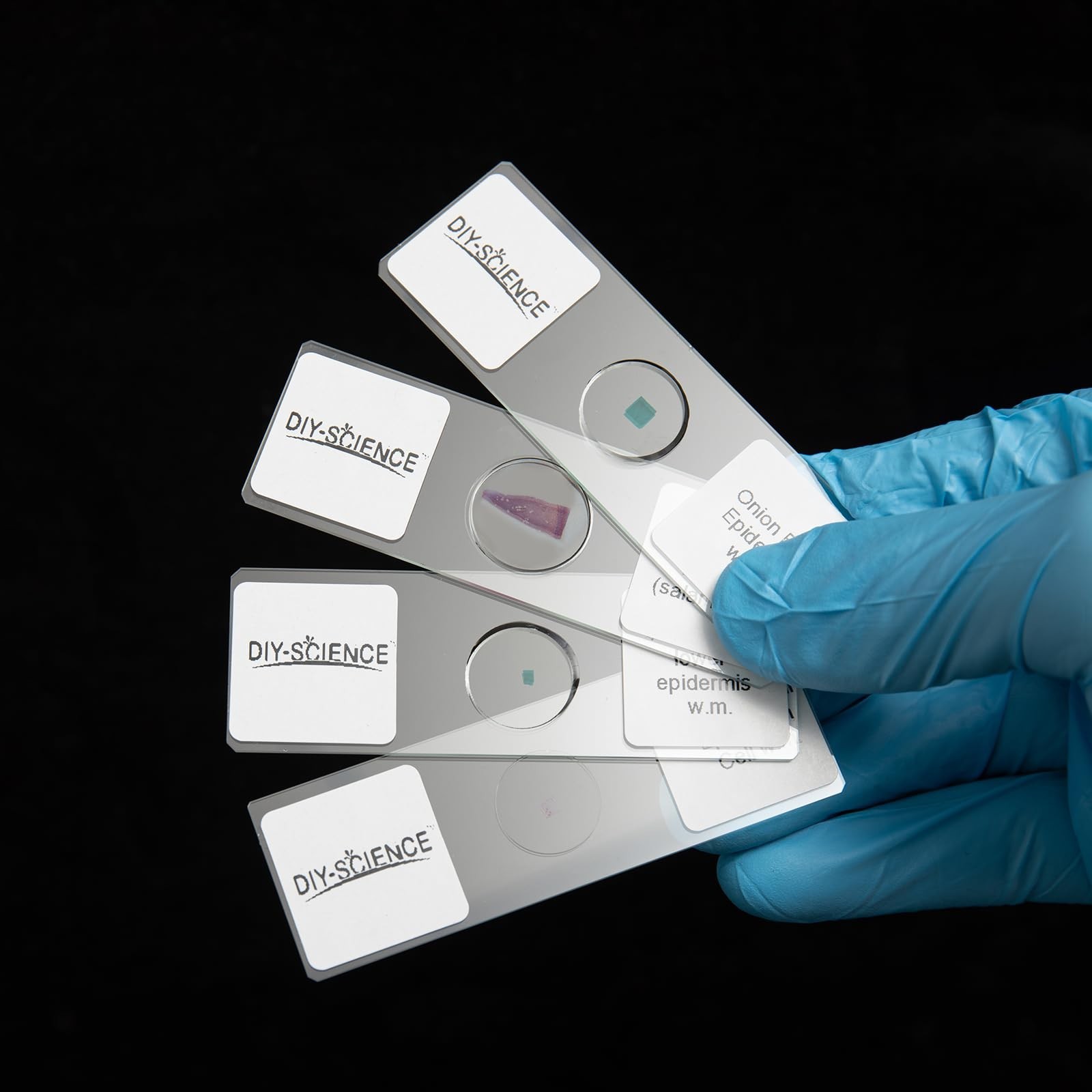 Typical Animals and Plants Cells Microscope Slides, Amphiuma Liver, Human Ora...