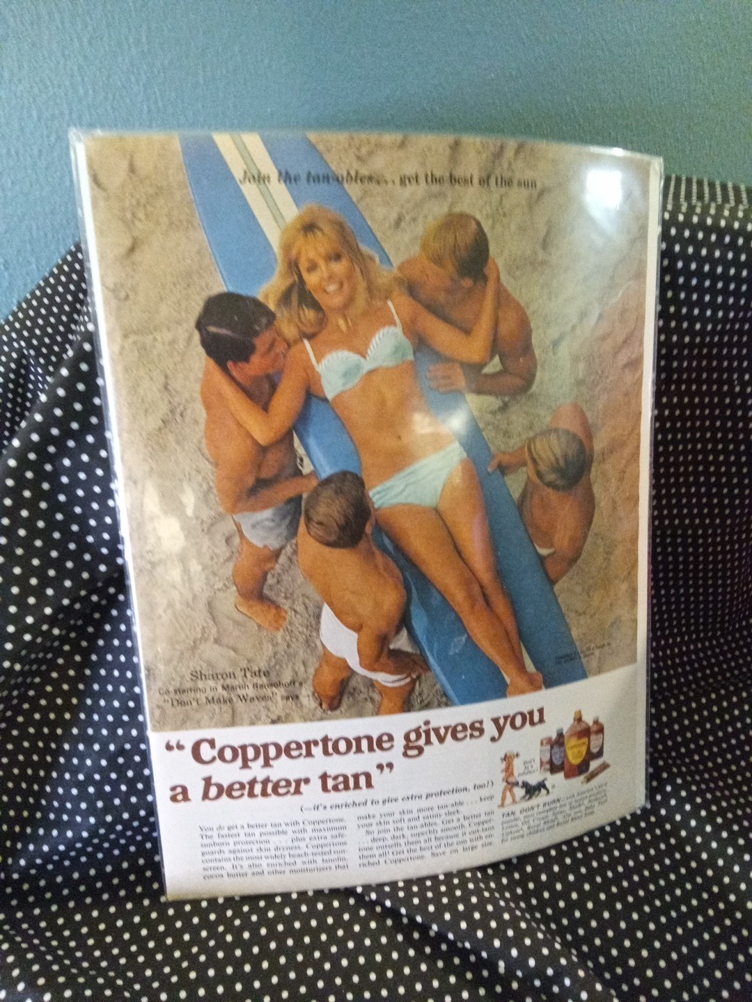 vintage advertising display Coppertone With Sharon Tate