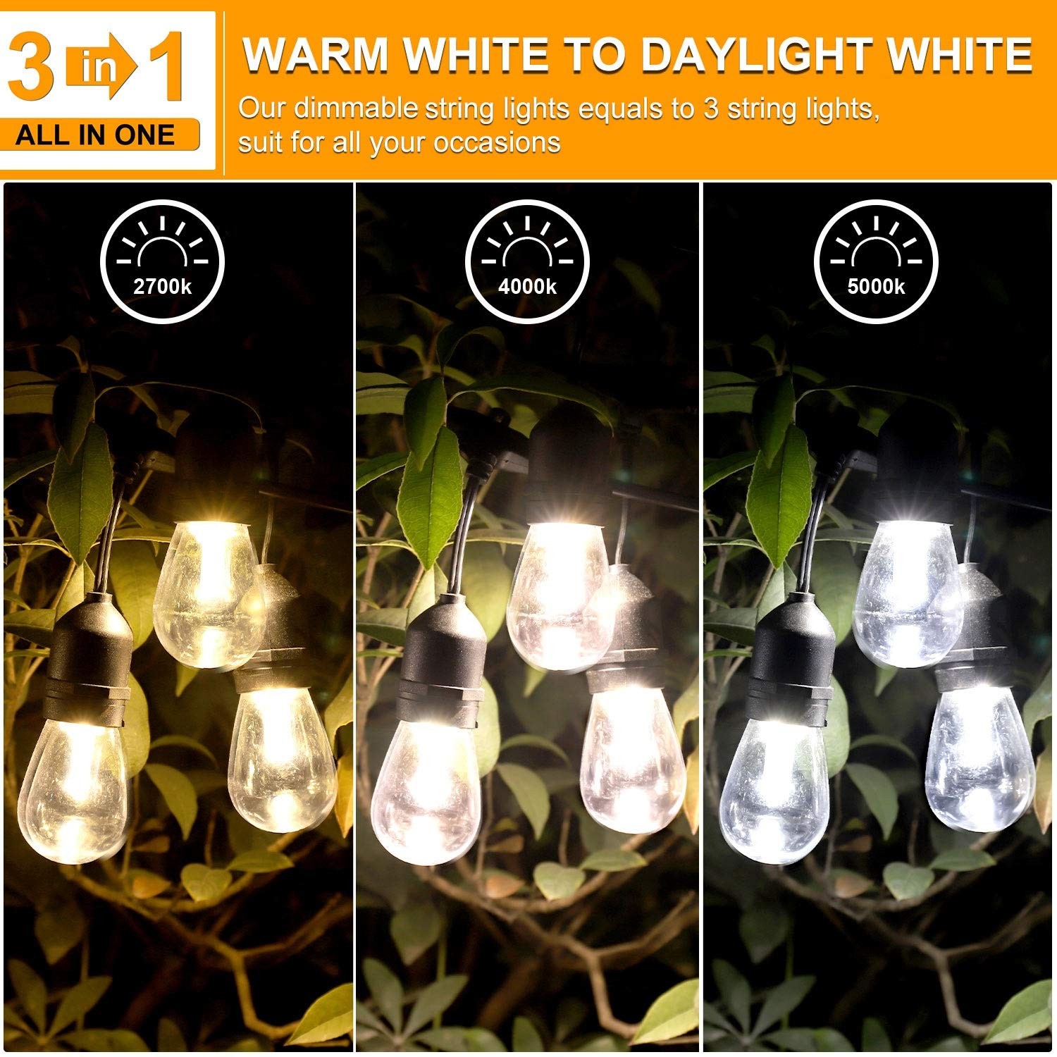 3 Color Outdoor LED Dimmable String Lights for Patio with Remote, Plug in 48FT