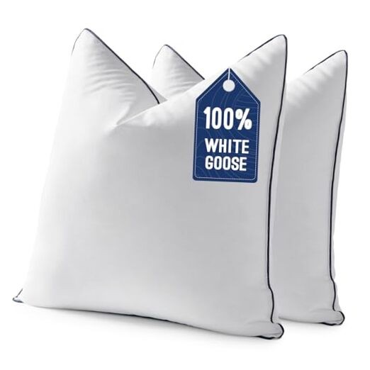 Goose Feather Down0x0 Pillow Insert Set of with 100% Down-Proof 20x20 Inch 2