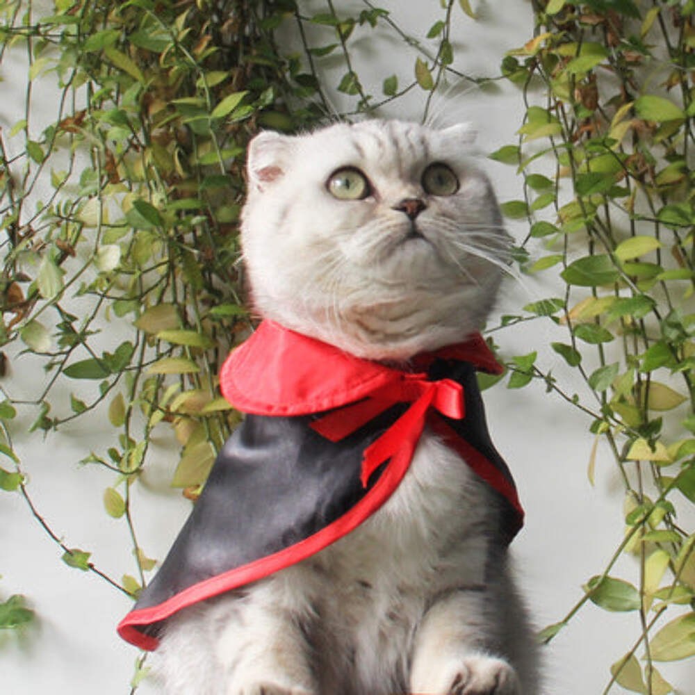Halloween Warm Pet Cloak