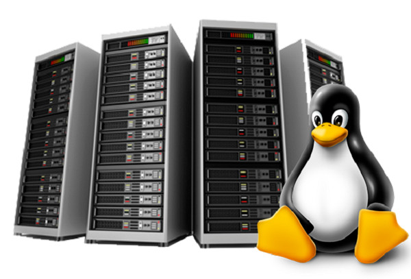 Linux Web Hosting - 🐧Unlimited SSD | Secure SSL | Emails | Support $14.99/Year!