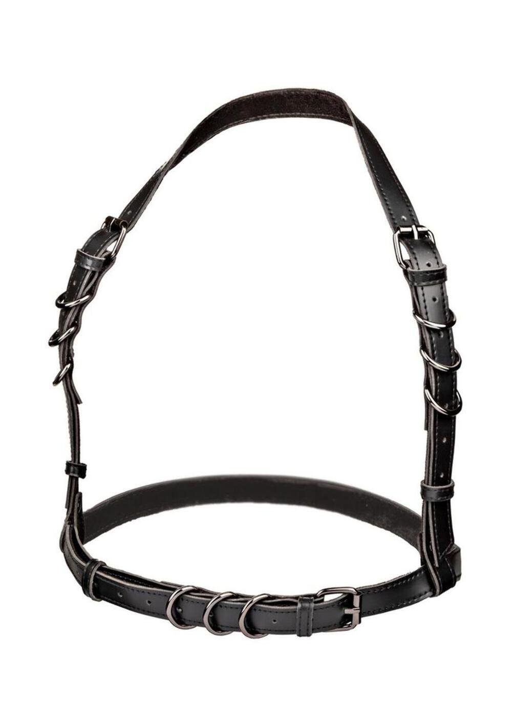 Euphoria Collection Halter Buckle Harness