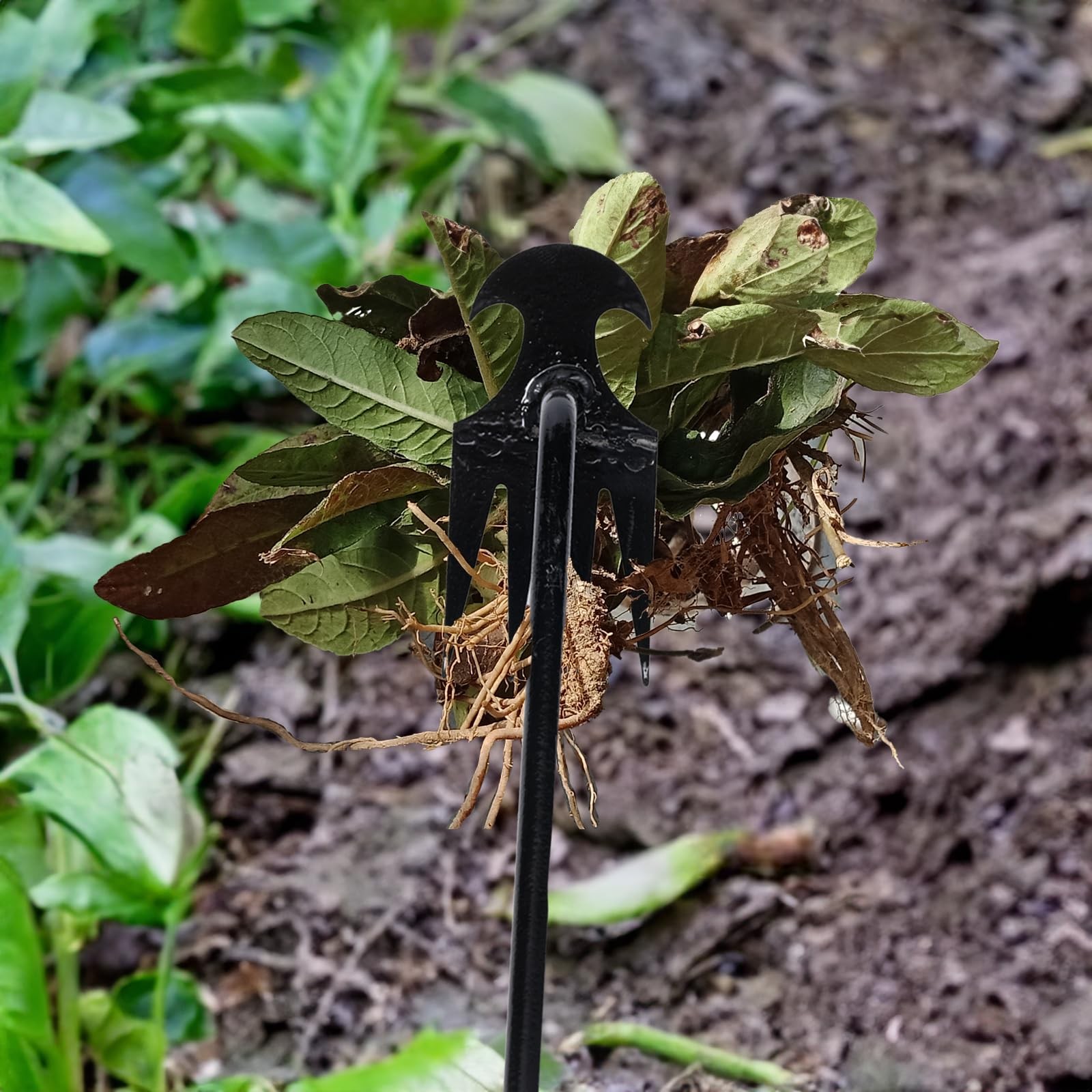 Weed Puller Tool Garden Pulling Tool, Portable Weeder Black