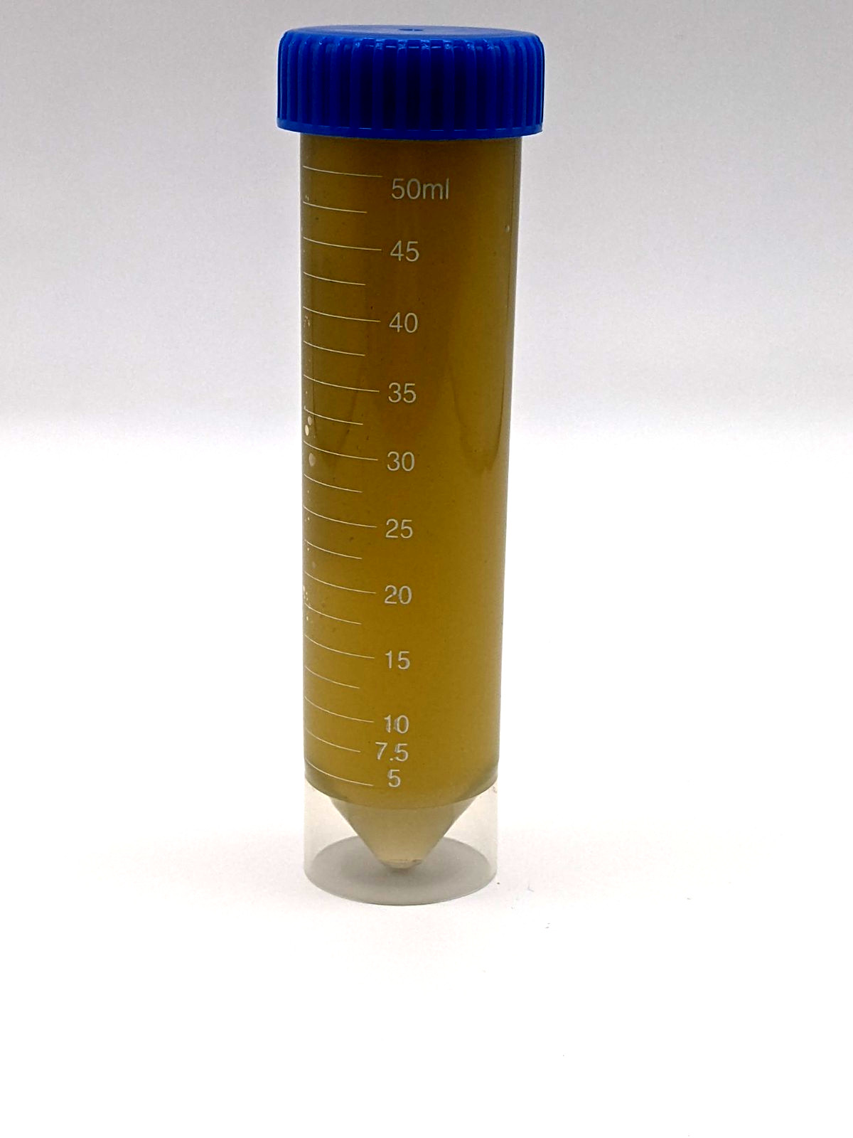 50mL Live Isochrysis Phytoplankton Starter Culture with FREE ALGAE FERTILIZER