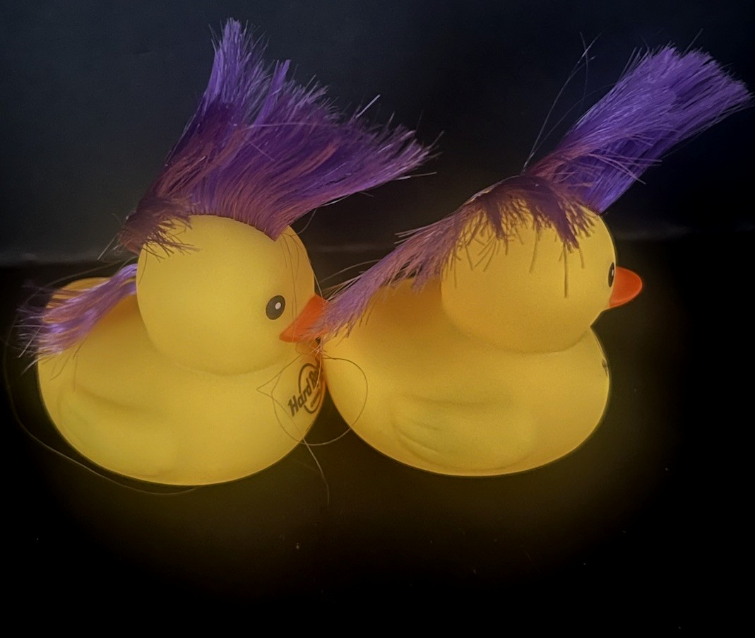 Hard Rock Ducks Ducky Squeaks Set Of 2 New Purple Mohawks- Cheap Trick Casino