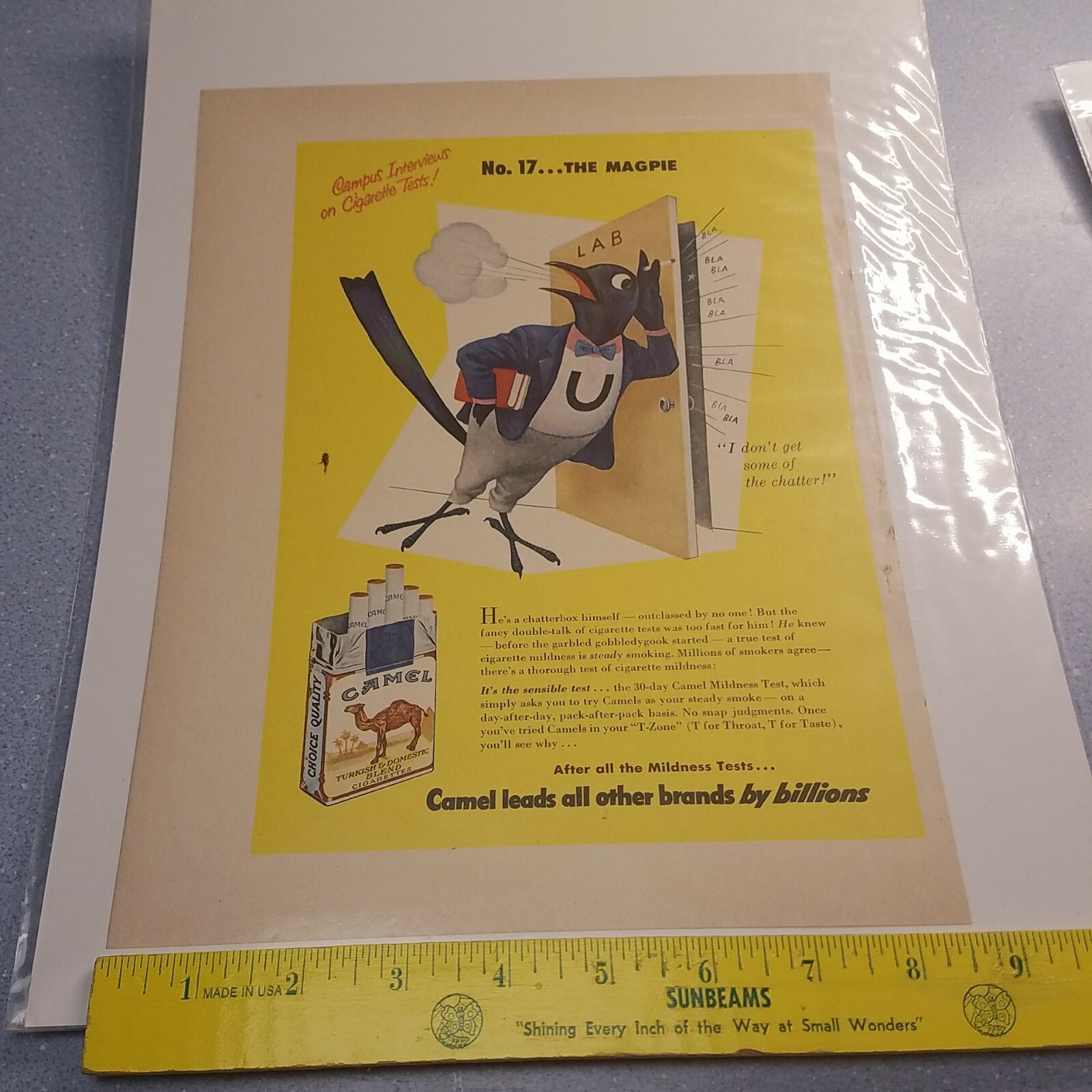 CAMEL CIGARETTES VINTAGE AD 1950's CAMPUS INTERVIEW ON CIGARETTE TESTS NO 17