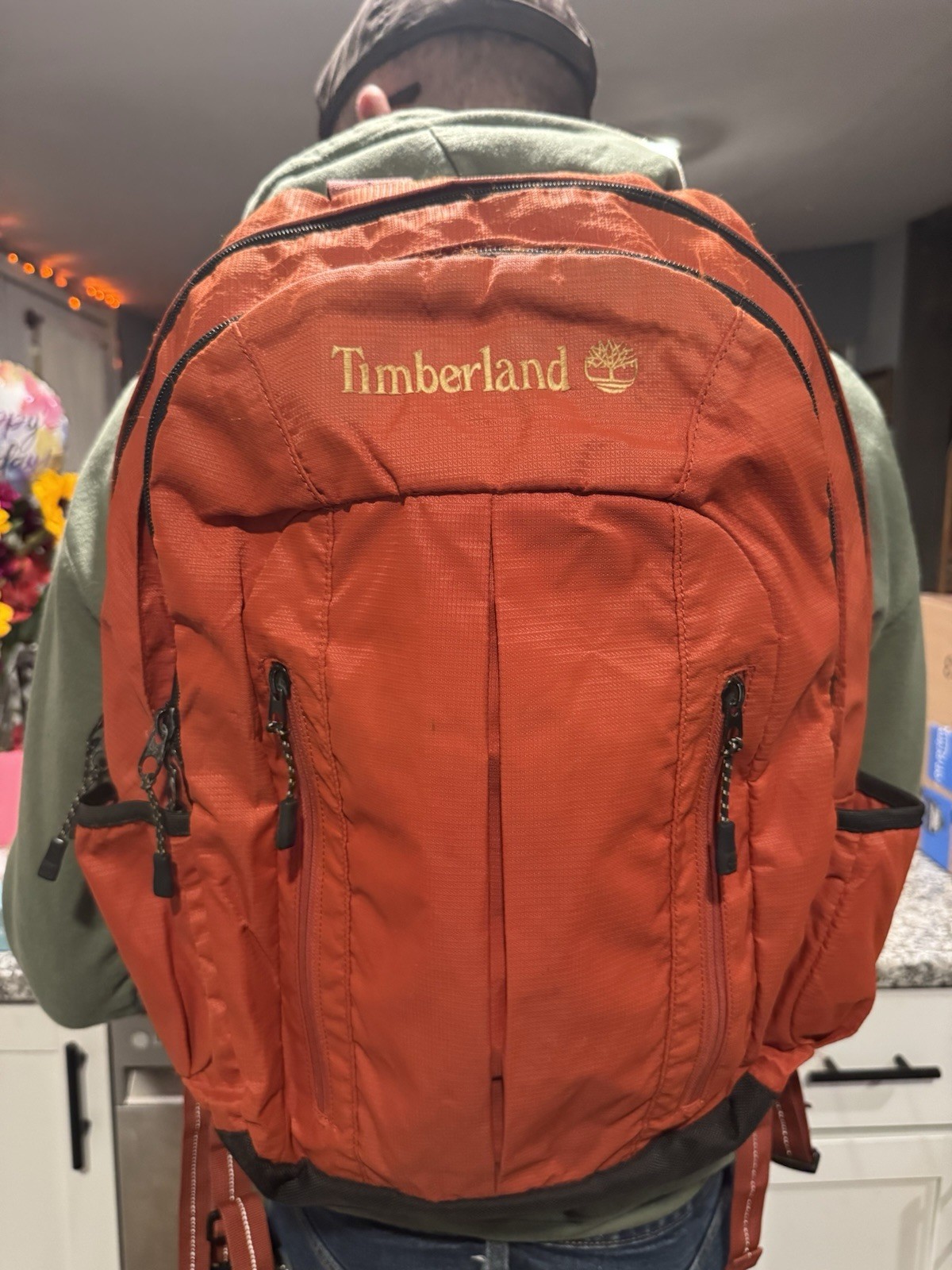 Timberland Multipurpose Backpack ~ Laptop Bag ~ Hiking ~ Sports Gear