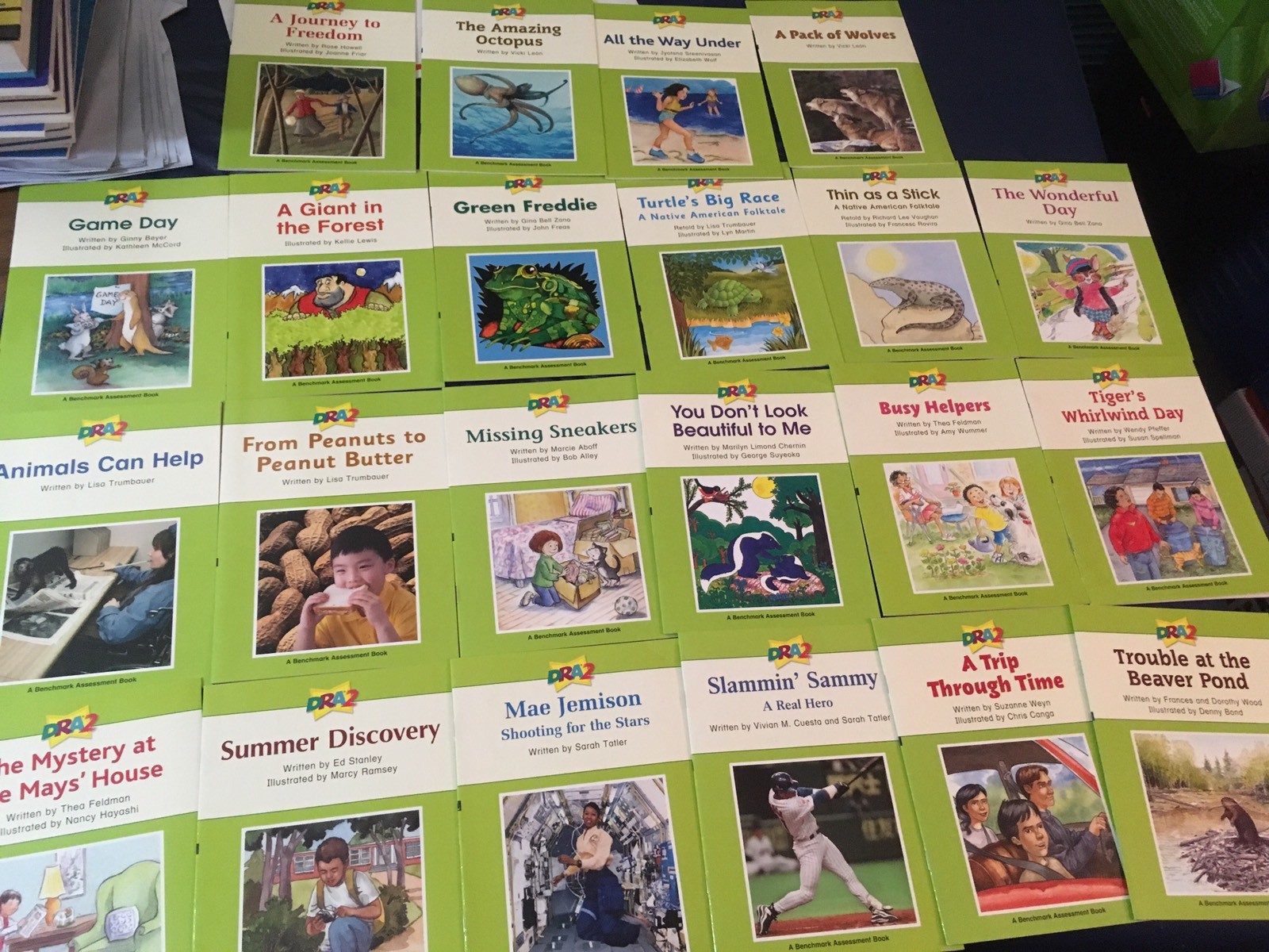 DRA2 Developmental Reading Assessment K-3 Grade K 1st 2nd 3rd 22 Books Readers