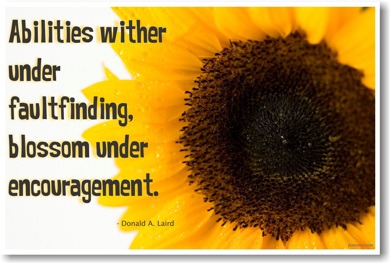 Abilities Wither Under Faultfinding  - NEW Classroom Motivational Poster