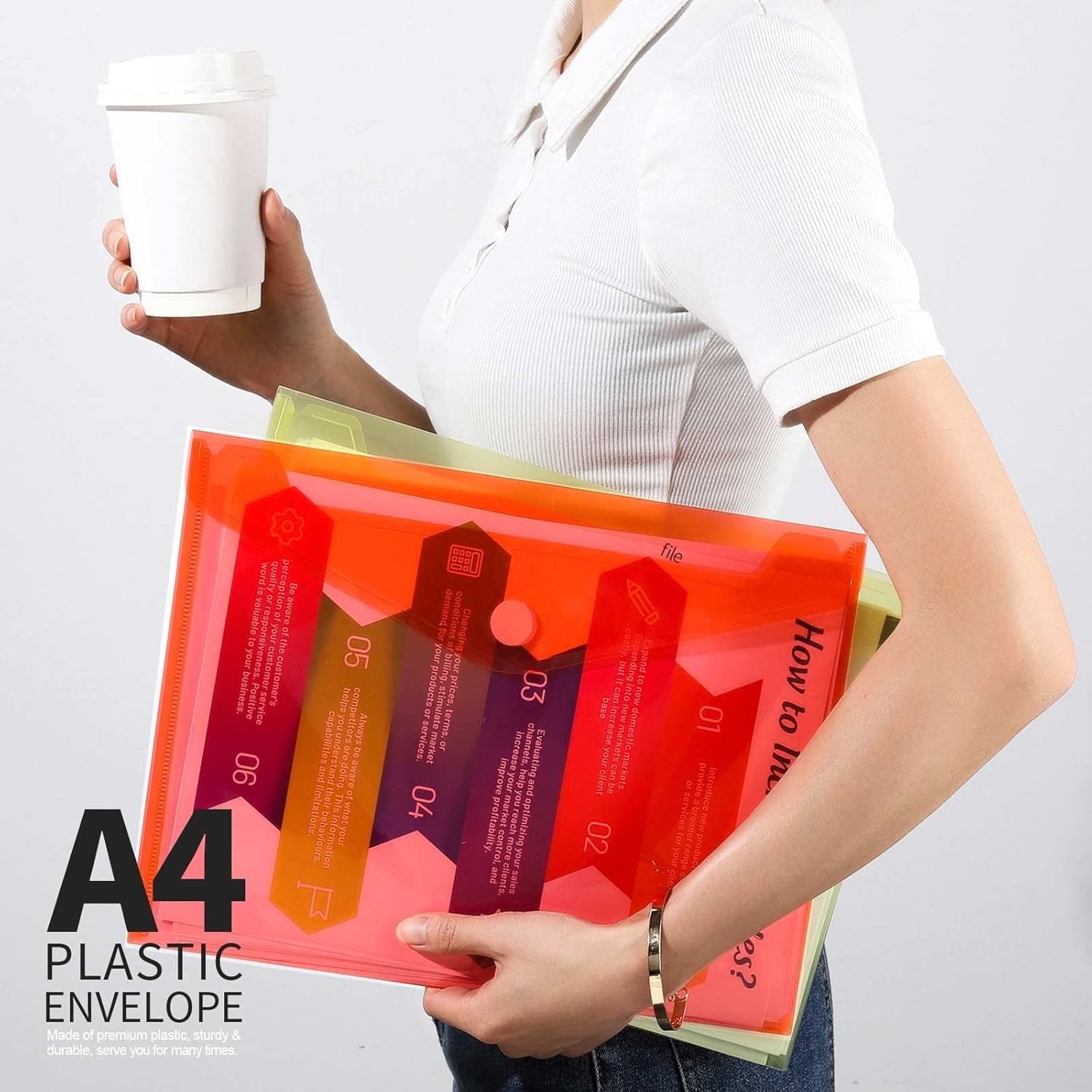 6-Pack Rainbow Plastic File Folders - A4 & Letter Size, Clear Design
