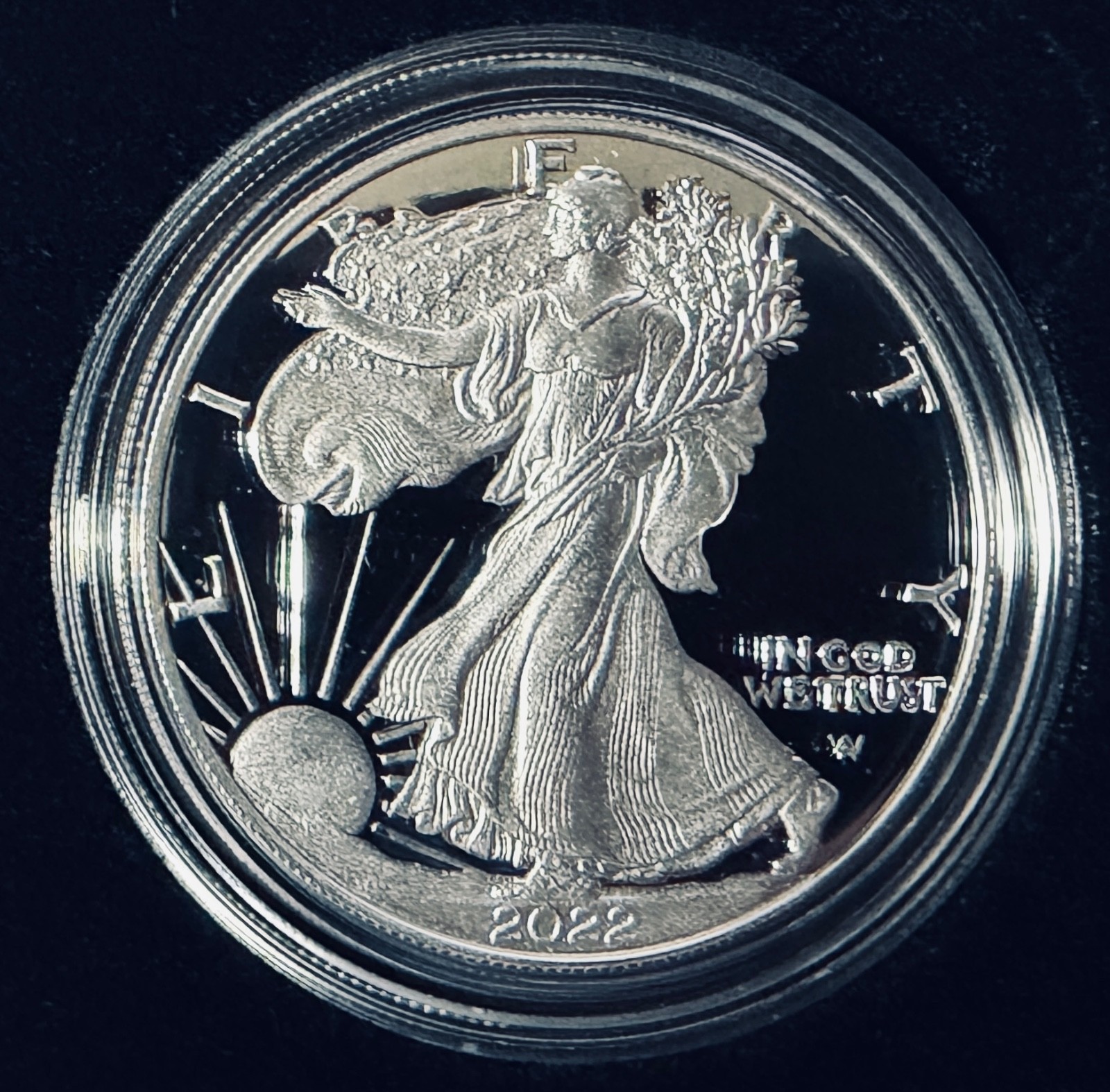 2022 W  PROOF AMERICAN SILVER EAGLE PROOF IN BOX AND INCLUDES ALL OGP SHIPS FREE
