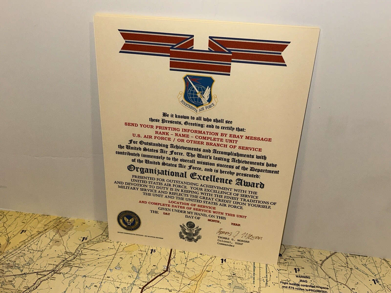 U.S. AIR FORCE / 19TH AIR FORCE - ORGANIZATIONAL EXCELLENCE AWARD CERTIFICATE